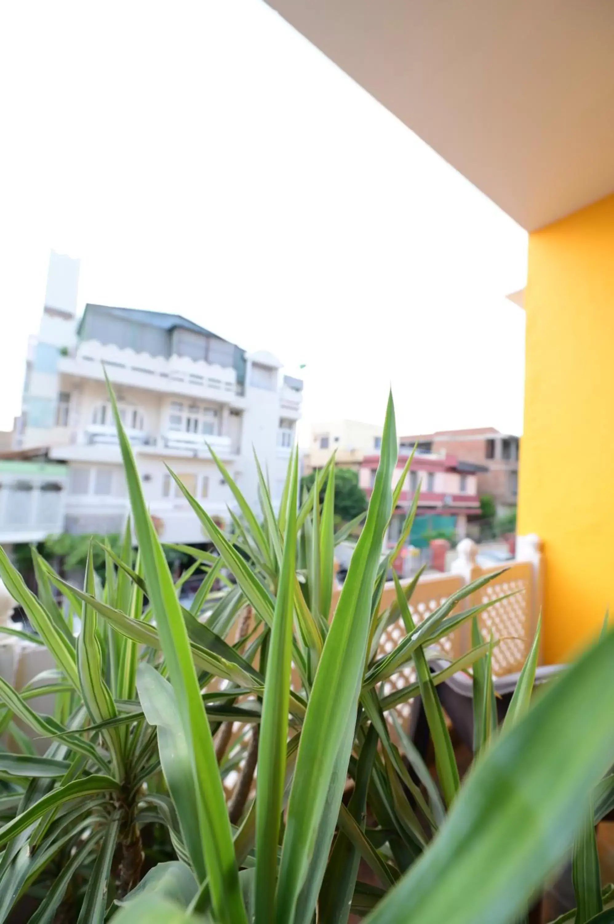Garden view in Chitra Katha - A Story Per Stay Garden view in Chitra Katha - A Story Per Stay