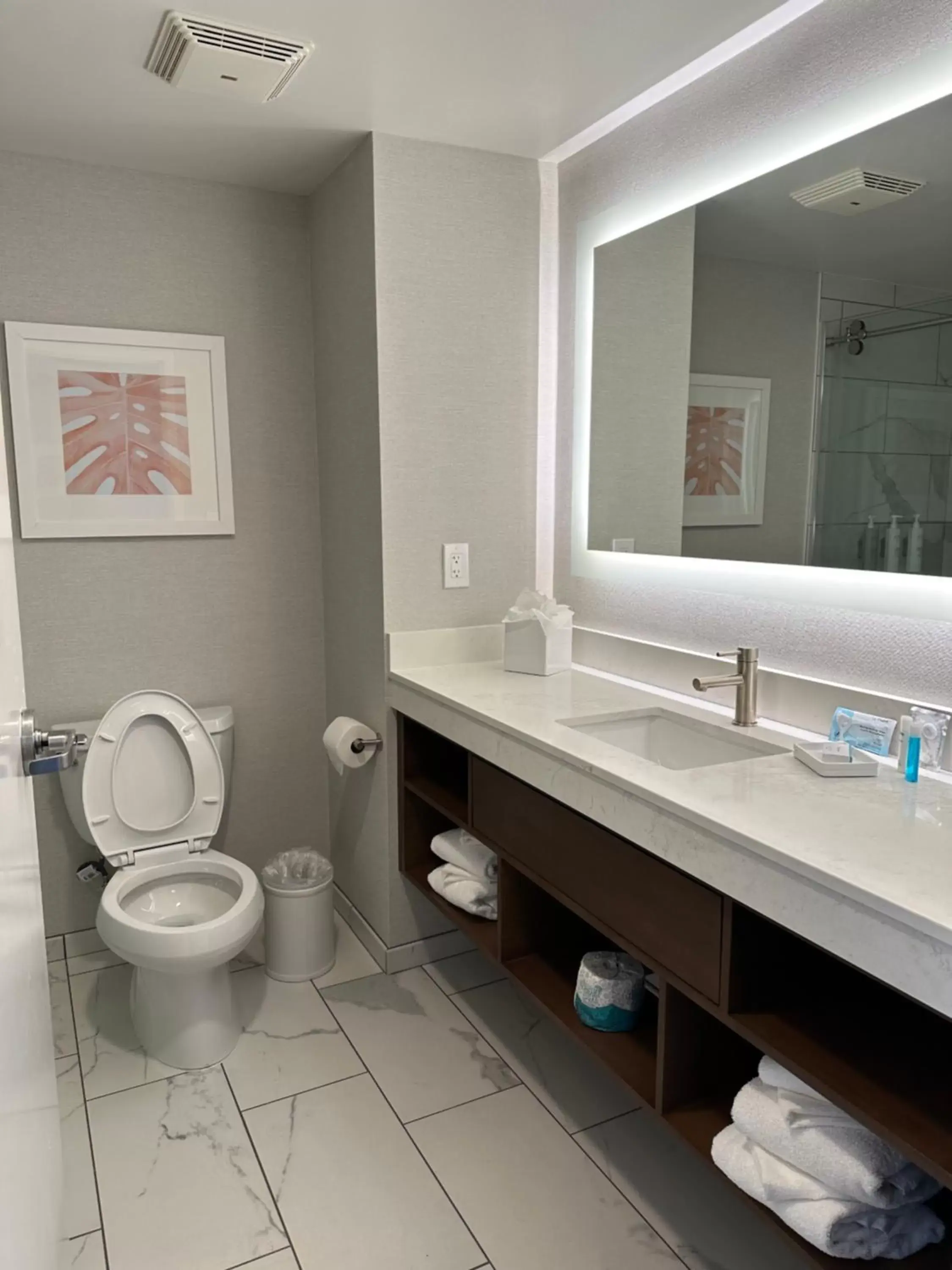 Toilet, Bathroom in Hampton Inn Virginia Beach-Oceanfront South