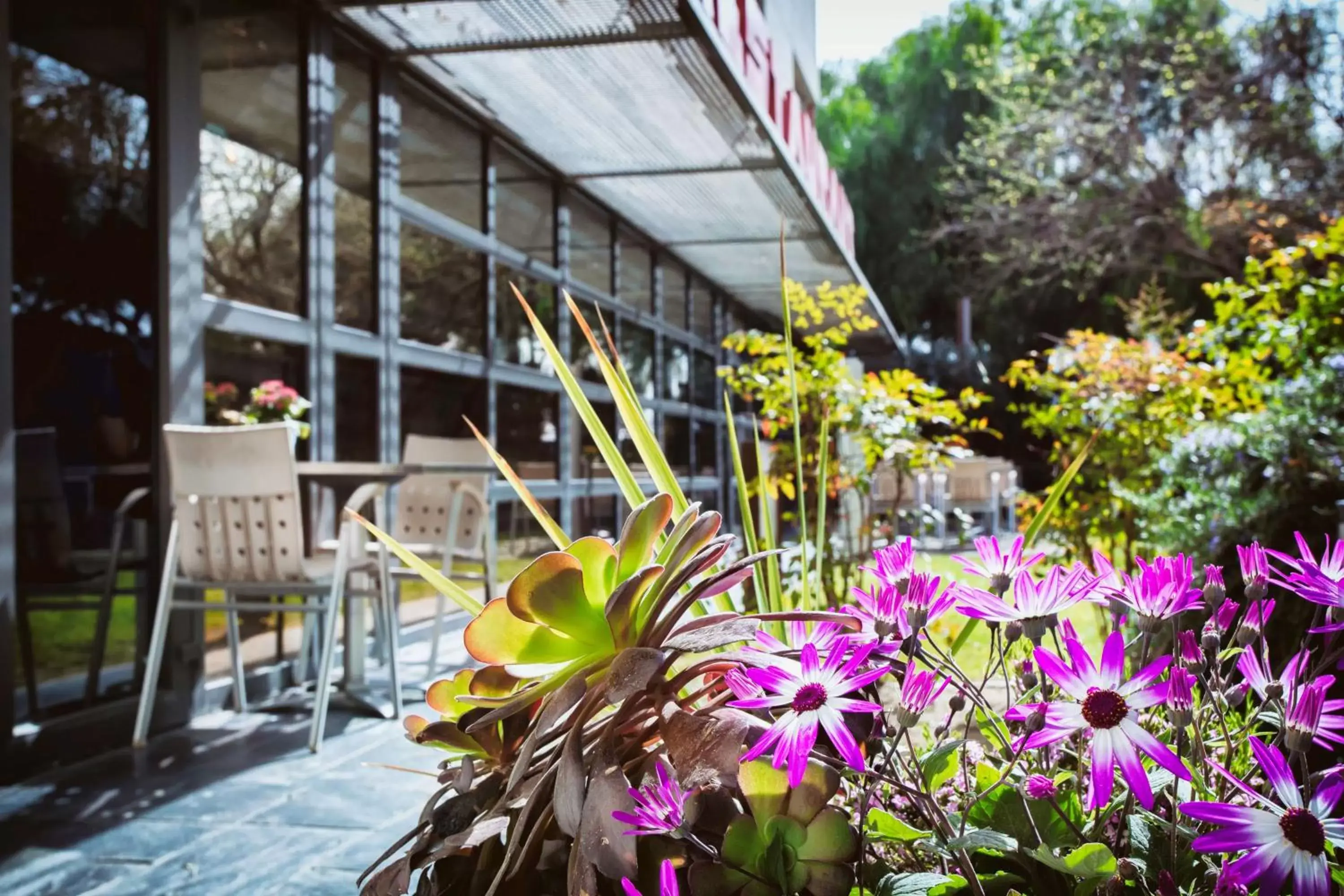 Property building in Best Western Plus Hotel Alfa Aeropuerto Property building in Best Western Plus Hotel Alfa Aeropuerto