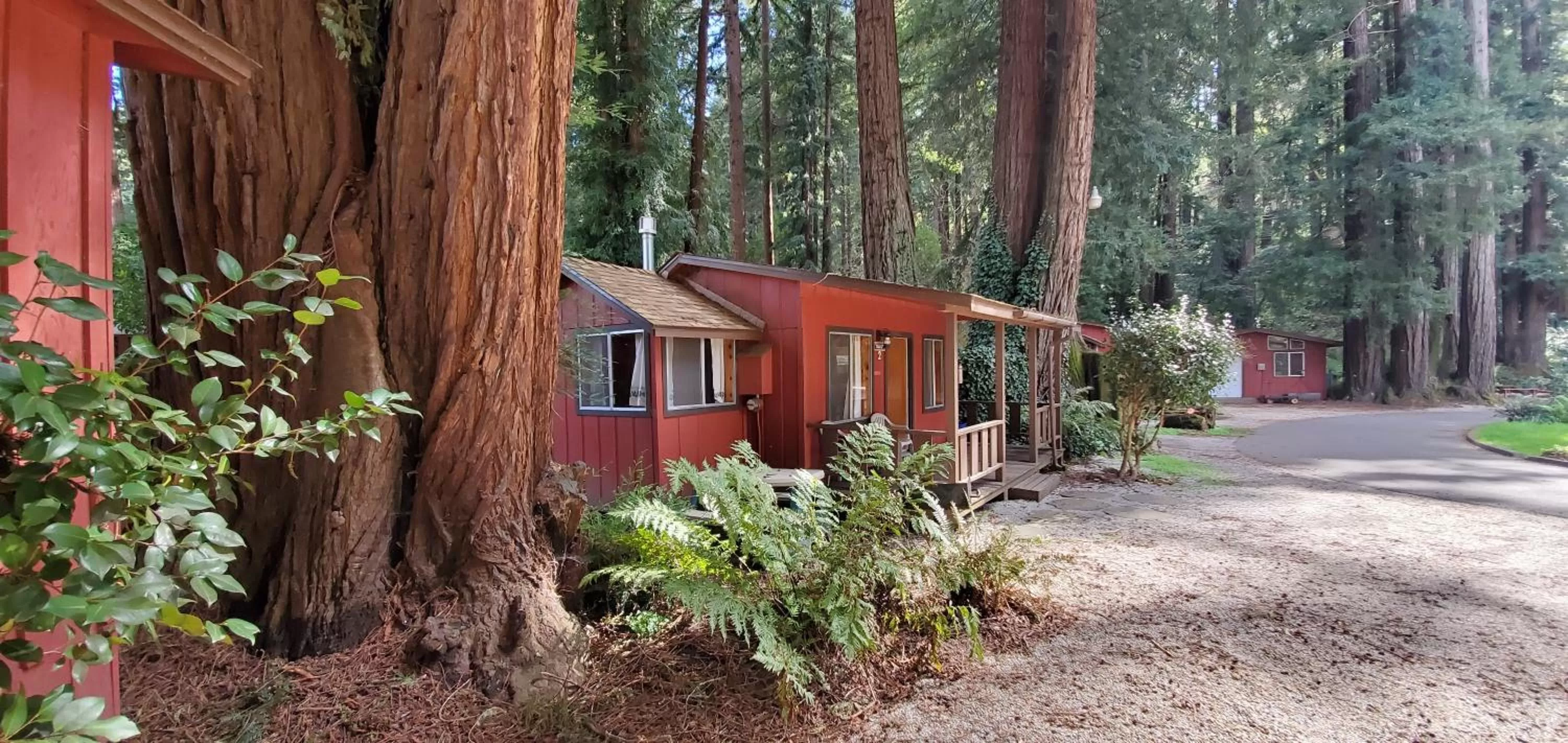 Property Building in Fern River Resort