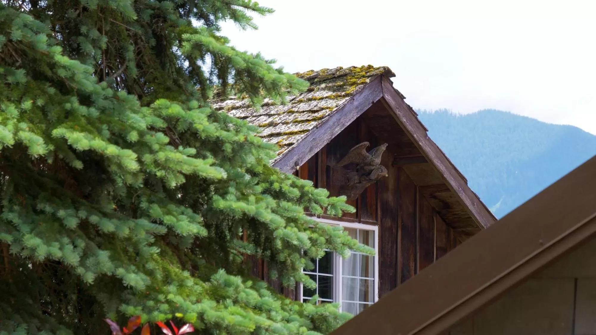 Other in Paradise Village