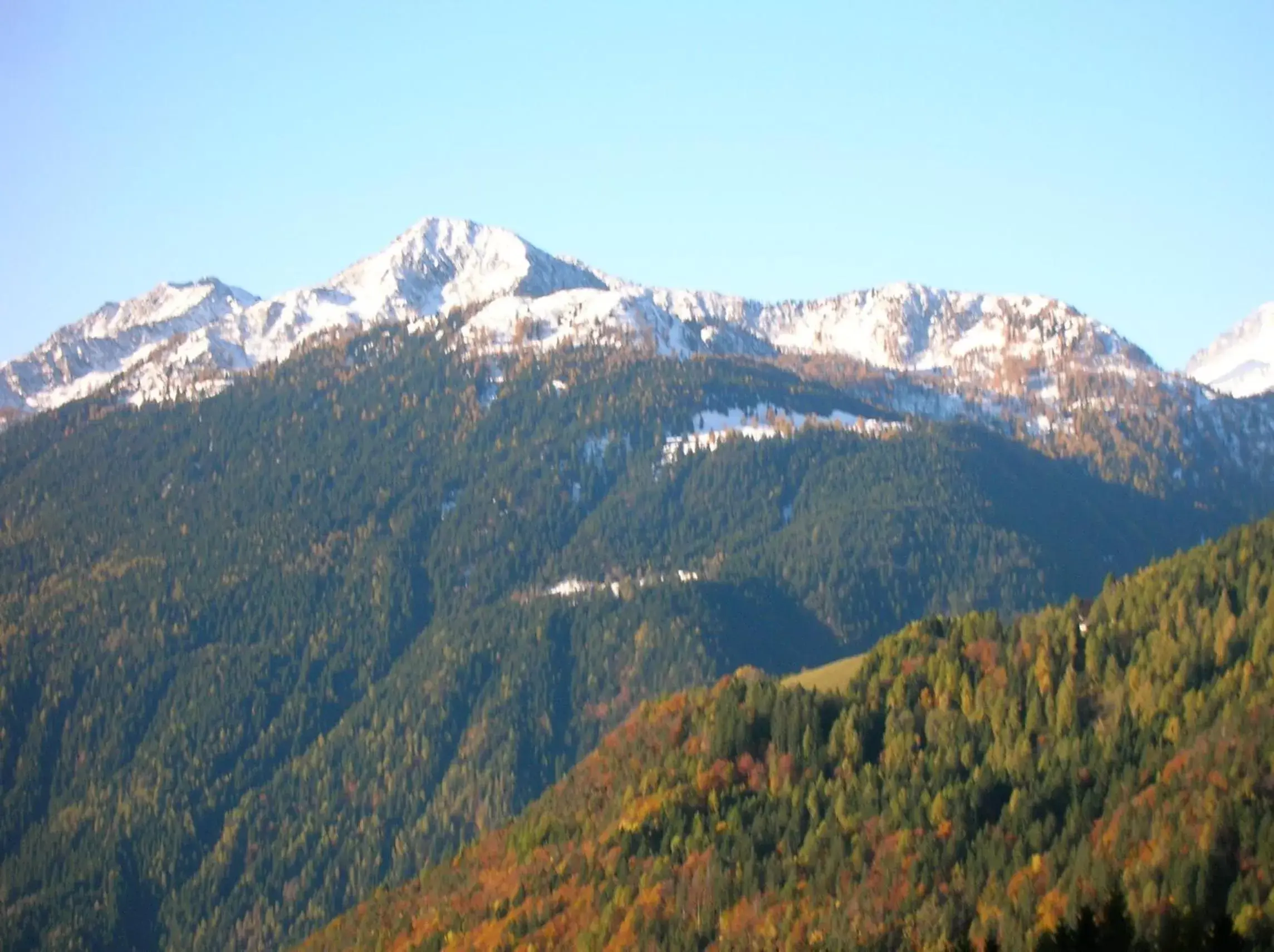 Area and facilities, Natural Landscape in Hotel Villa Fosine