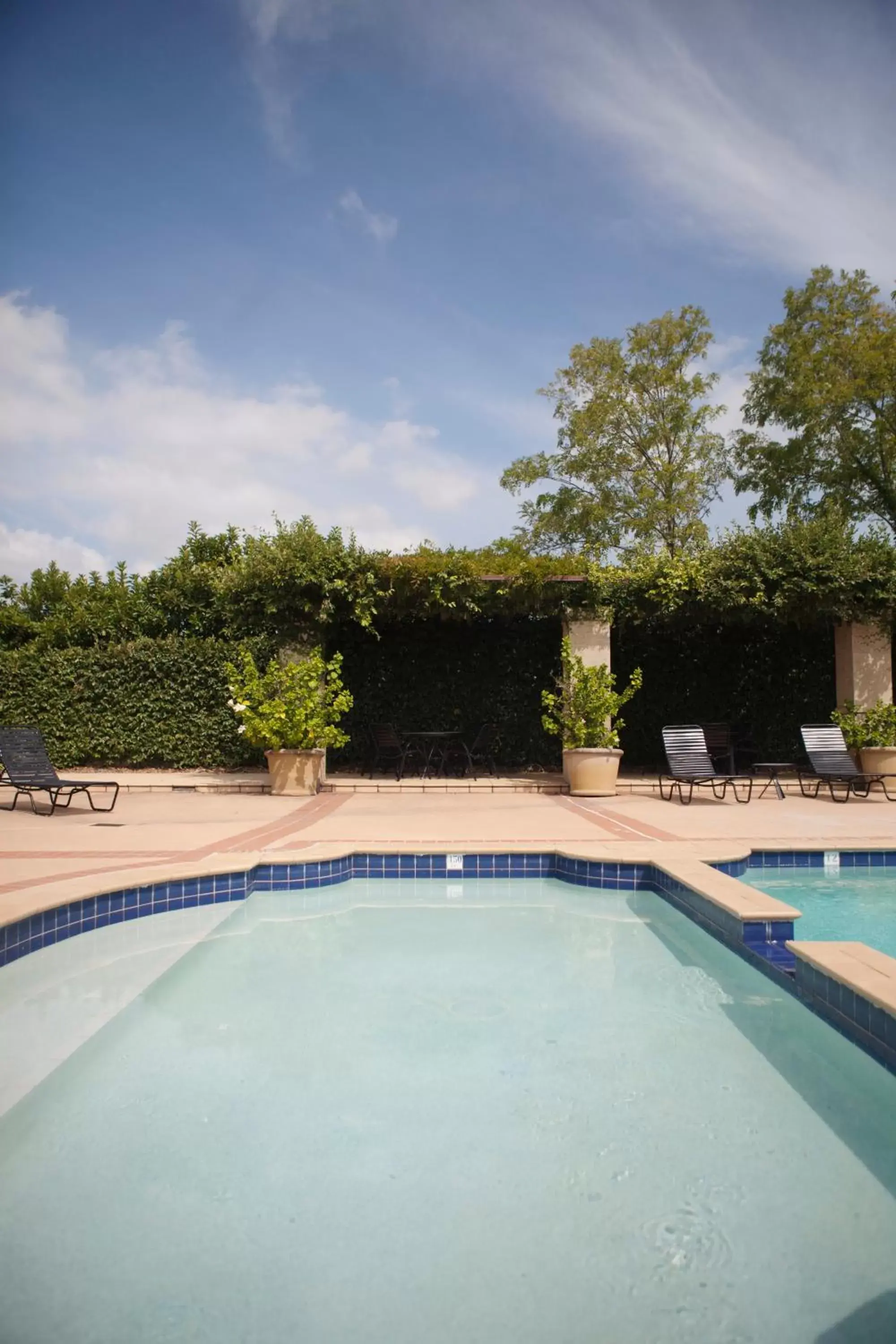 Swimming Pool in Harrigan's Hunter Valley