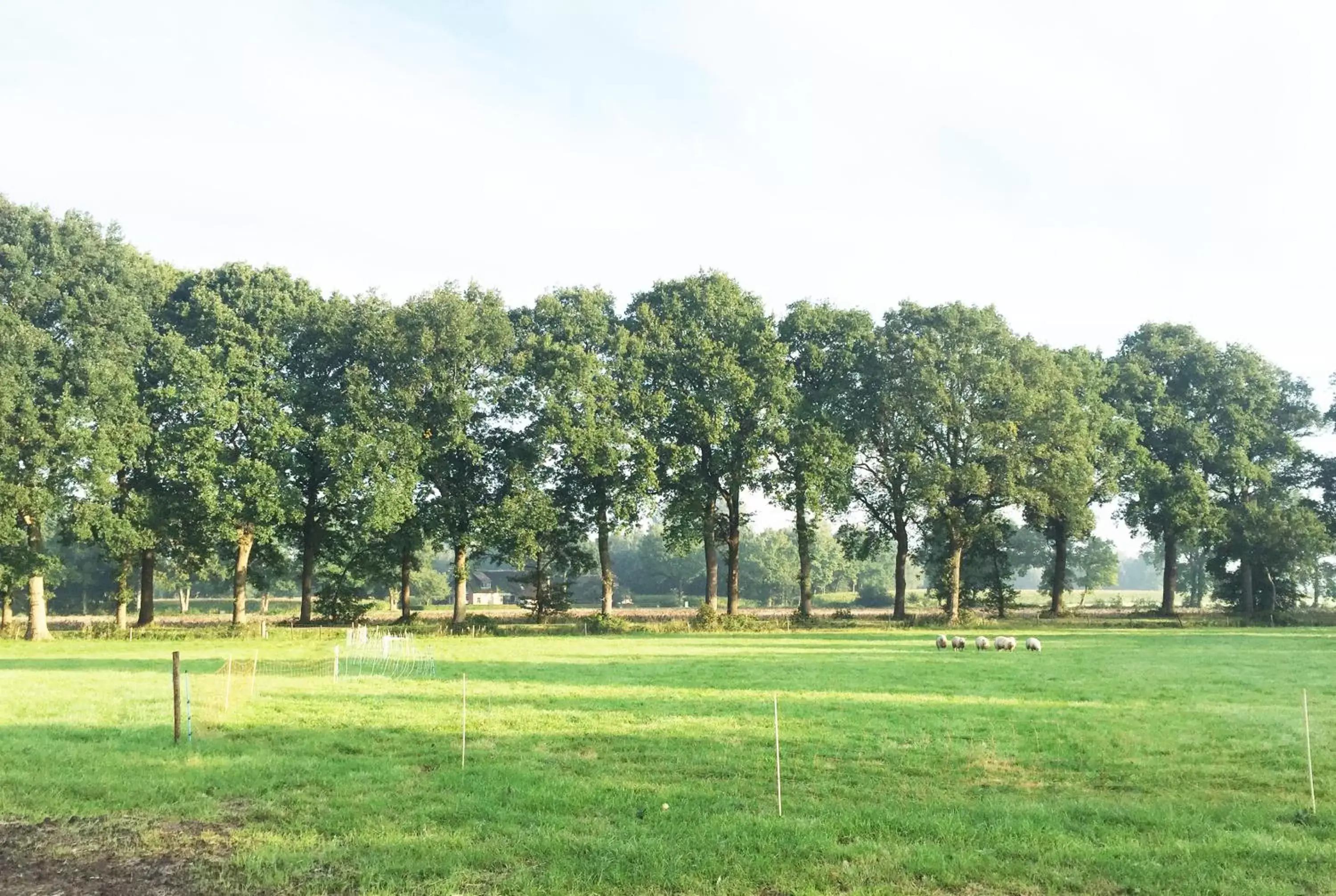 Natural landscape in B&B De Achterdiek