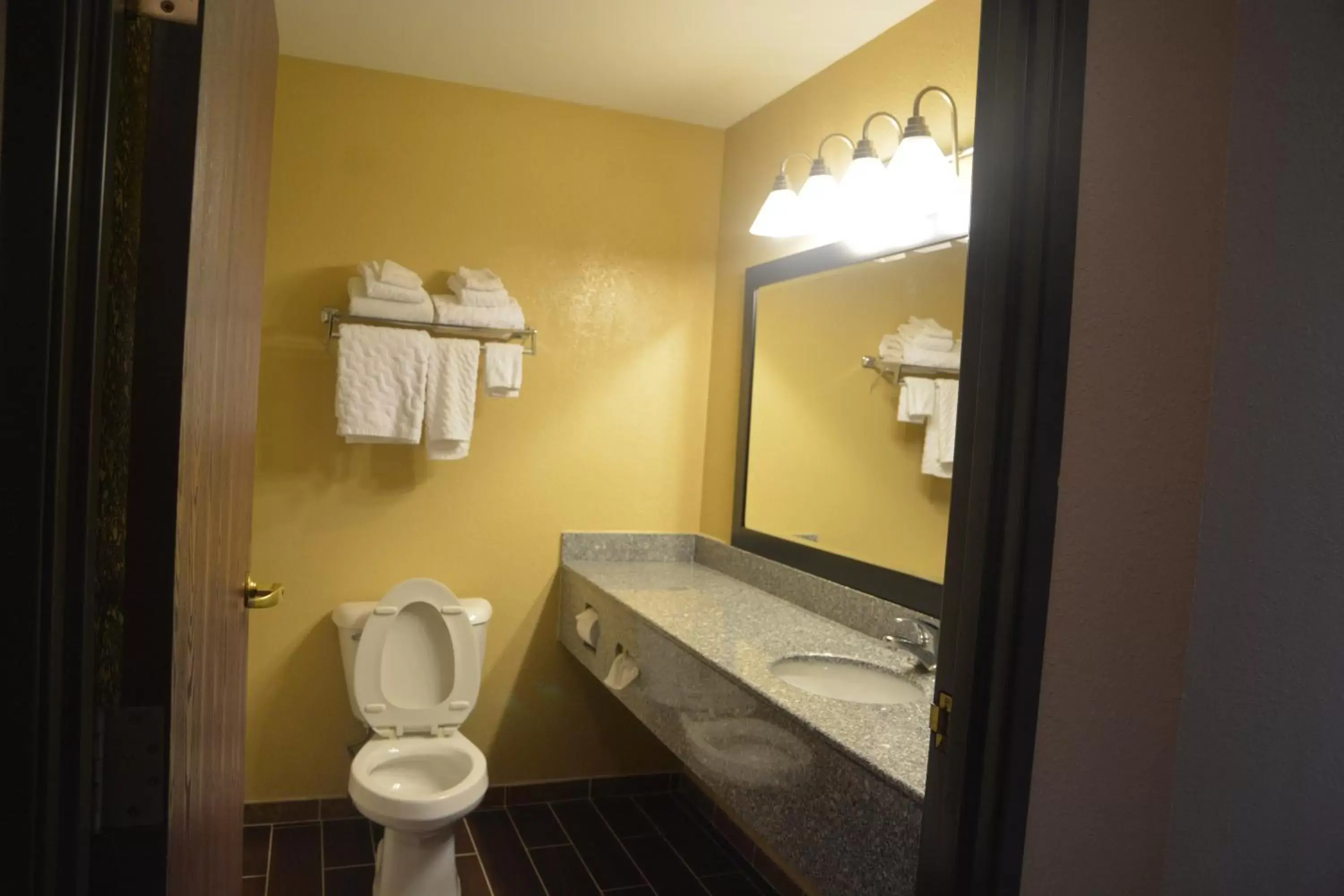 Bathroom in Countryside Inn and Suites