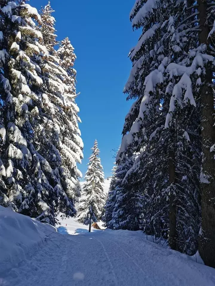 Nearby landmark, Winter in Auberge Du Fraizier