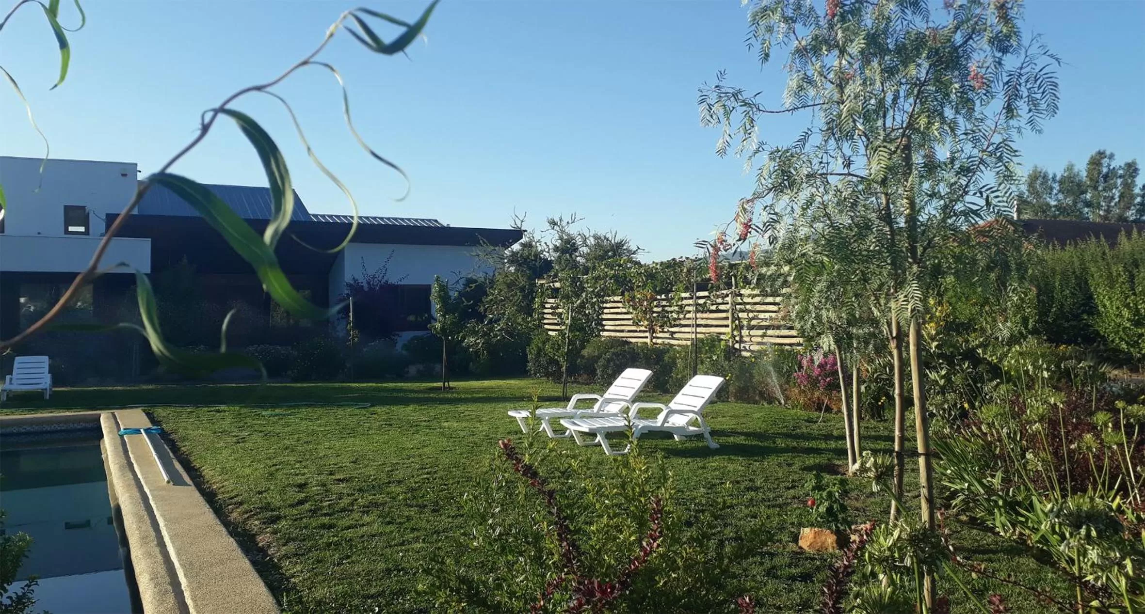 Garden view in Callihue Lodge