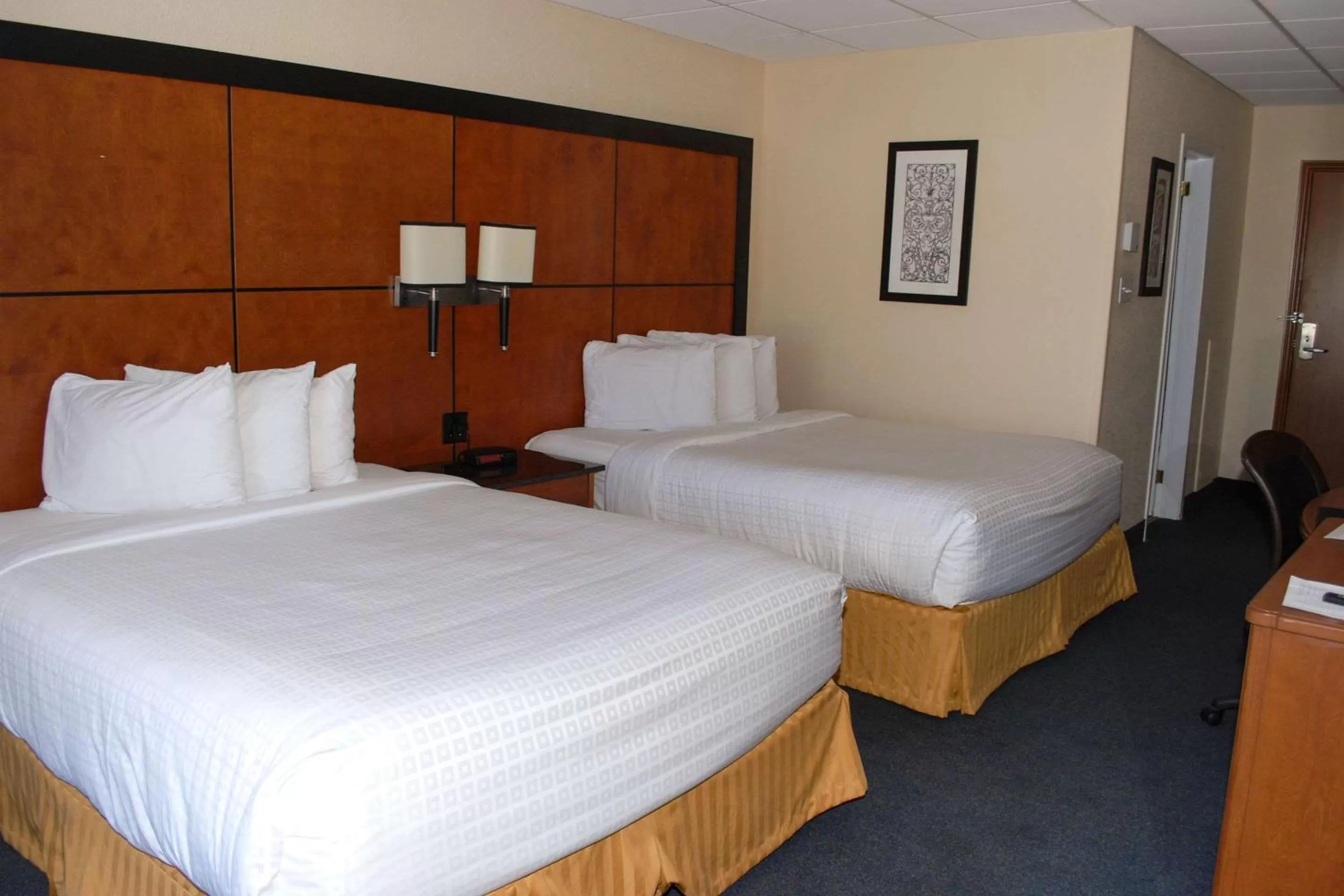 Photo of the whole room, Bed in Rodeway Inn