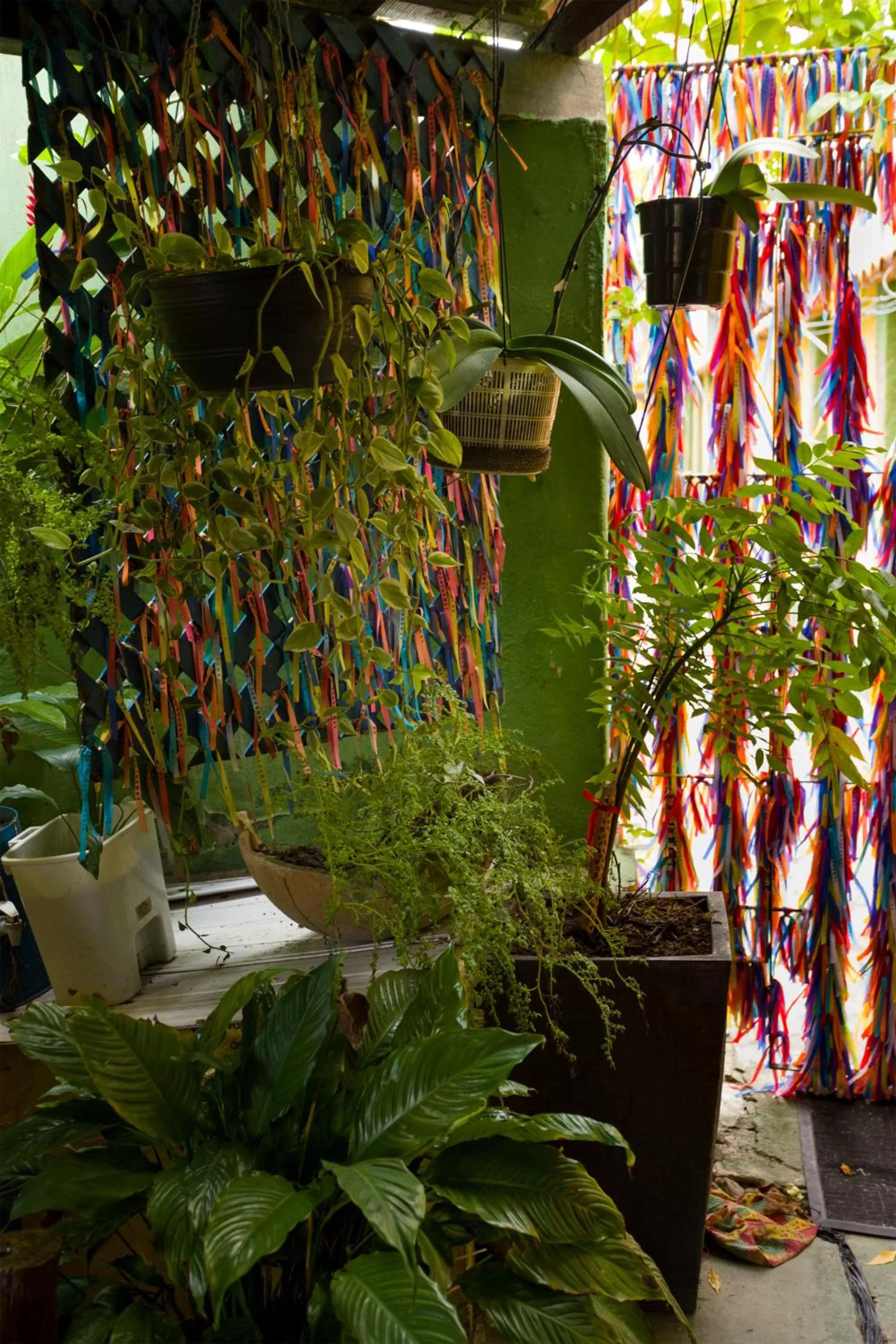 Garden in Hospedagem La Bilbaina