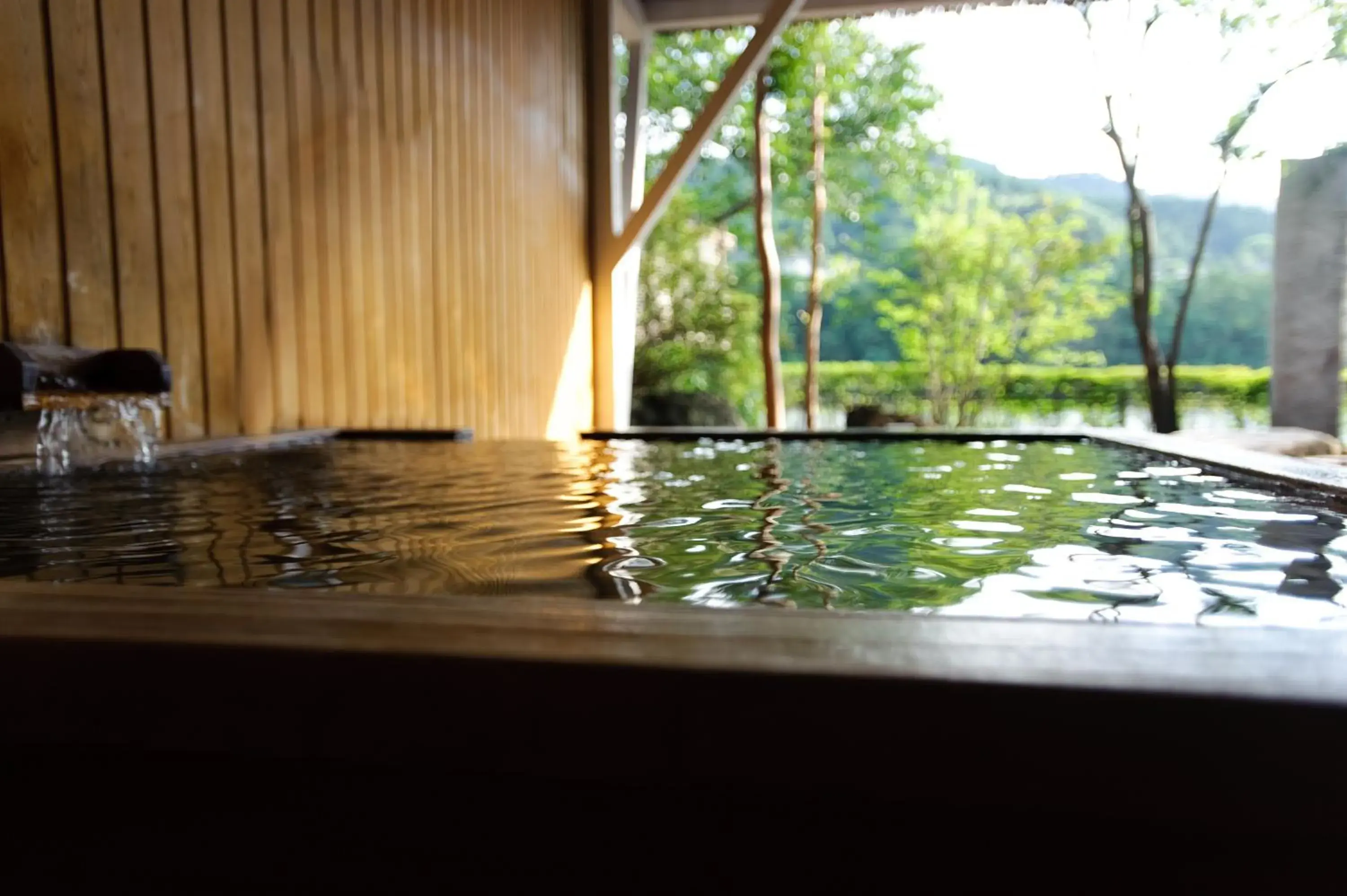 Hot Spring Bath, Swimming Pool in River Retreat Garaku