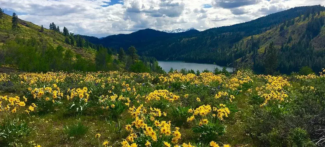 Natural Landscape in Twisp River Suites