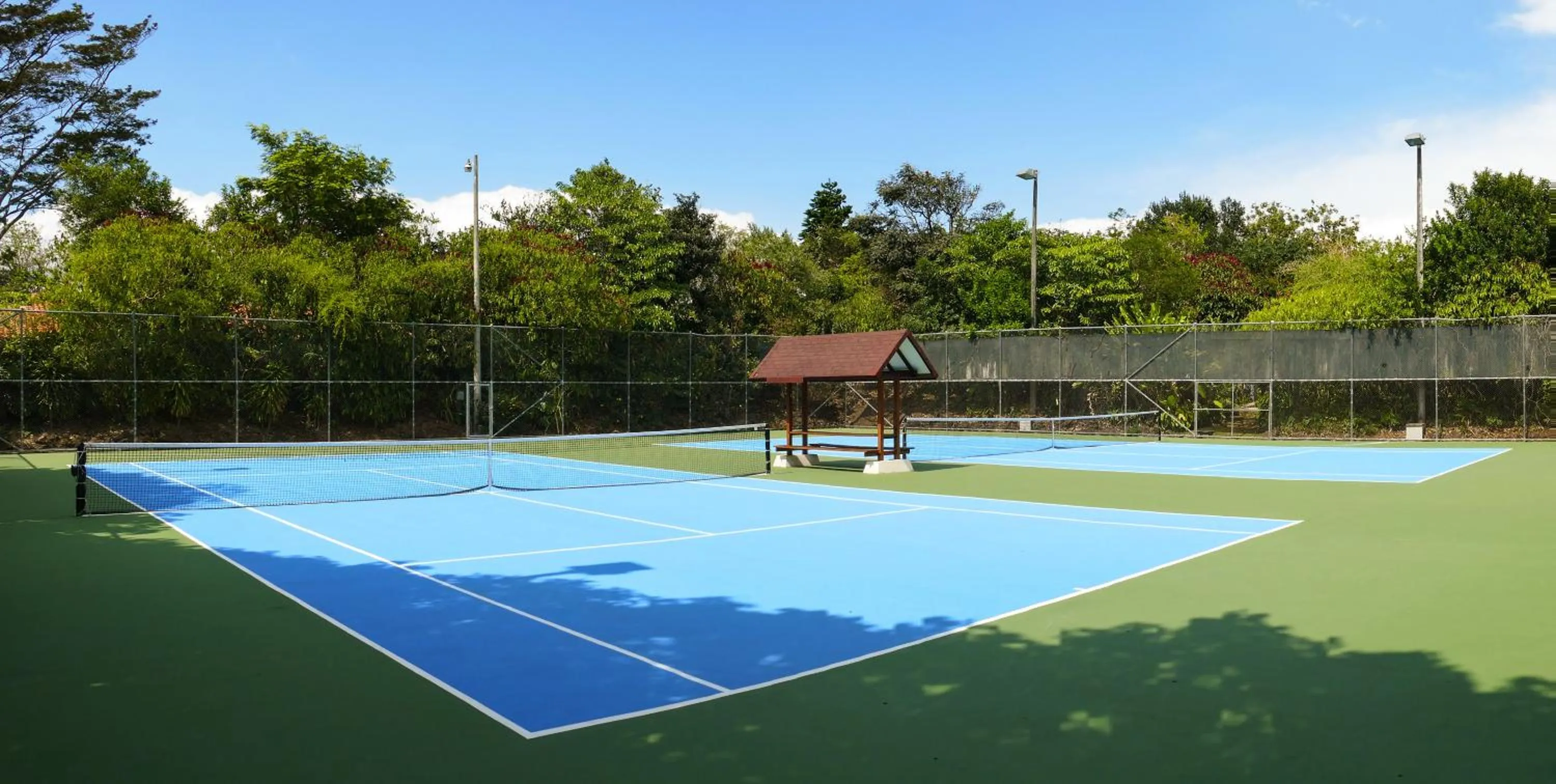 Area and facilities in Hotel Bougainvillea San José