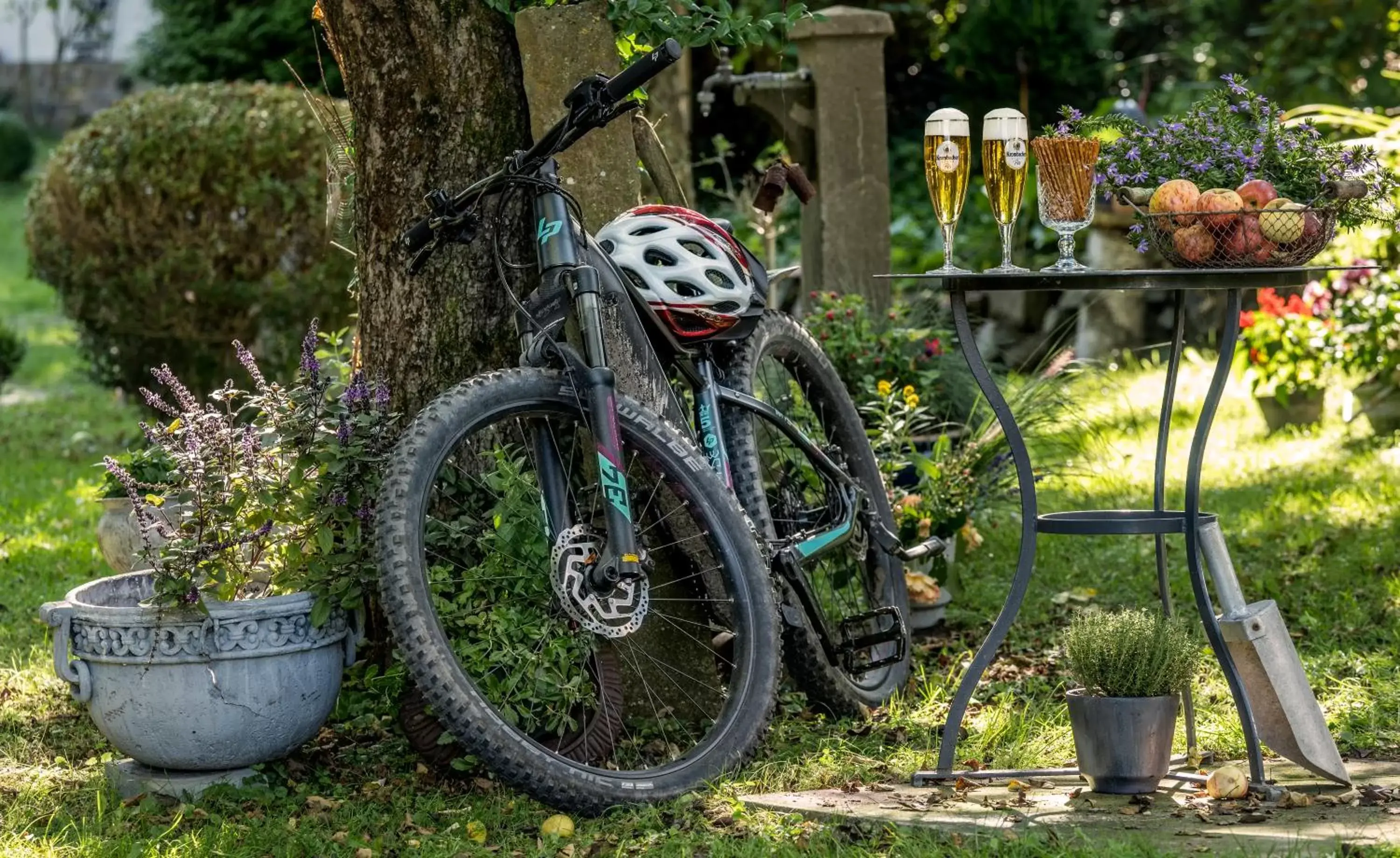 Cycling, Other Activities in Romantik Hotel Neuhaus