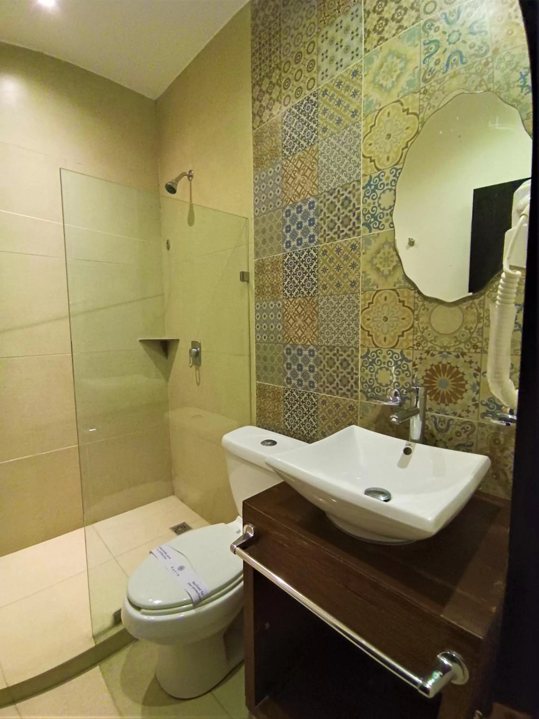 Shower in Hotel Merida