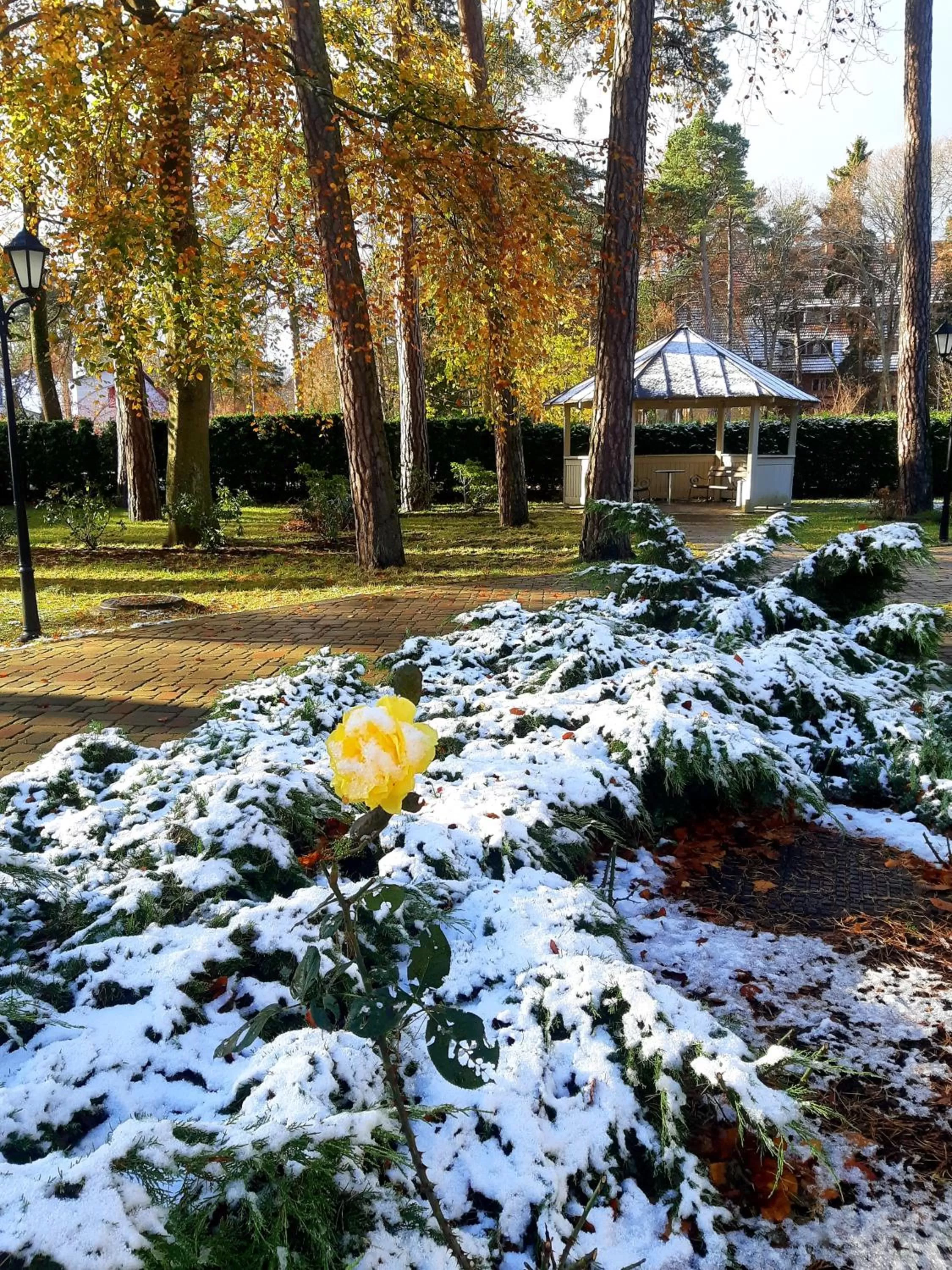 Garden in Wooden Villa APARTMENTS