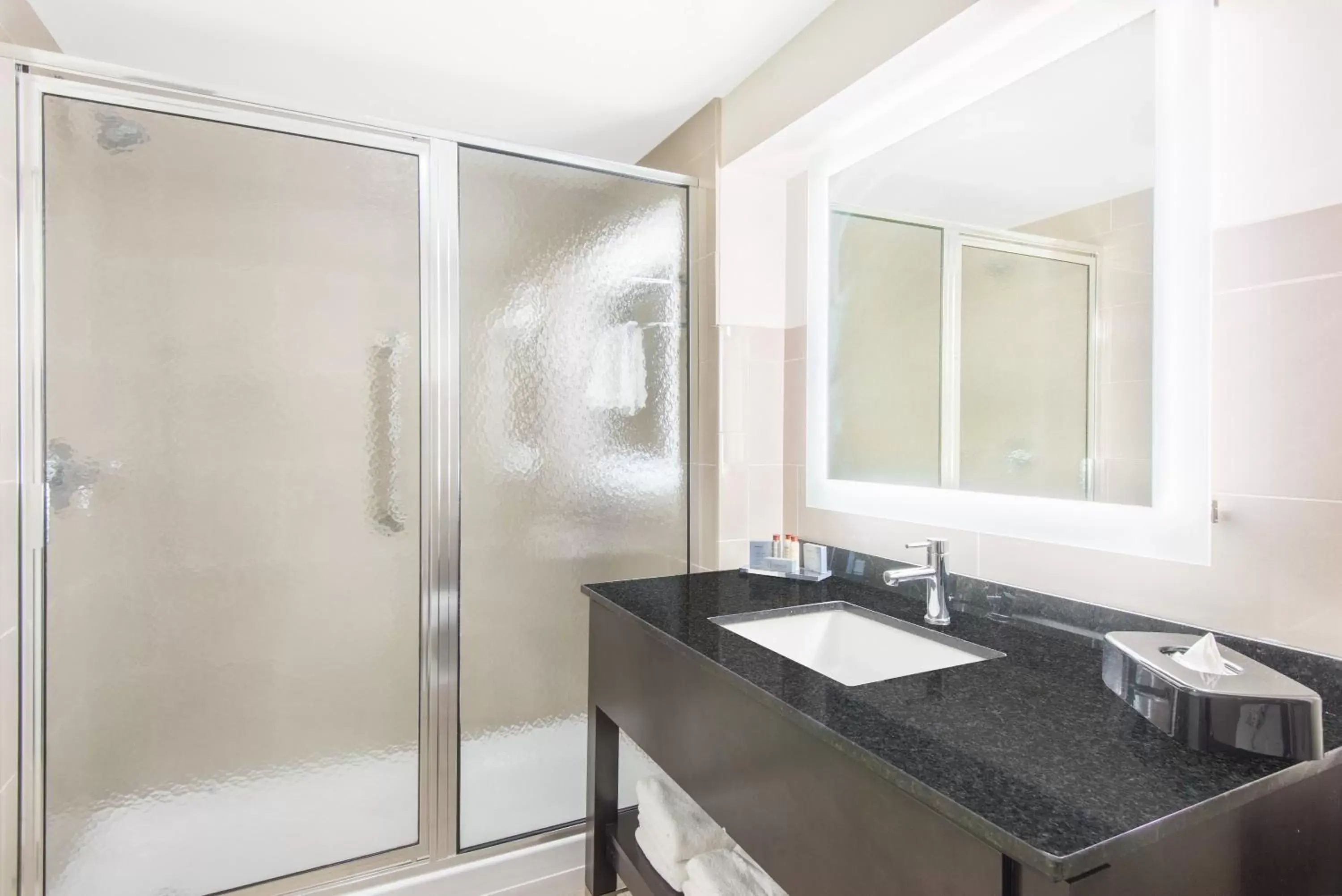 Shower, Bathroom in Wingate by Wyndham Niagara Falls