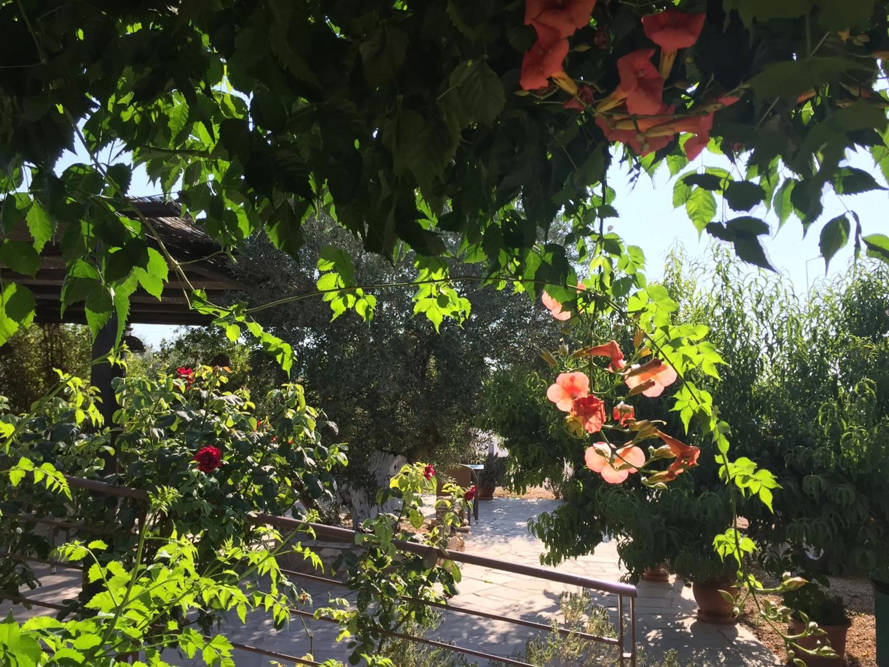 Property building in Hani Inn