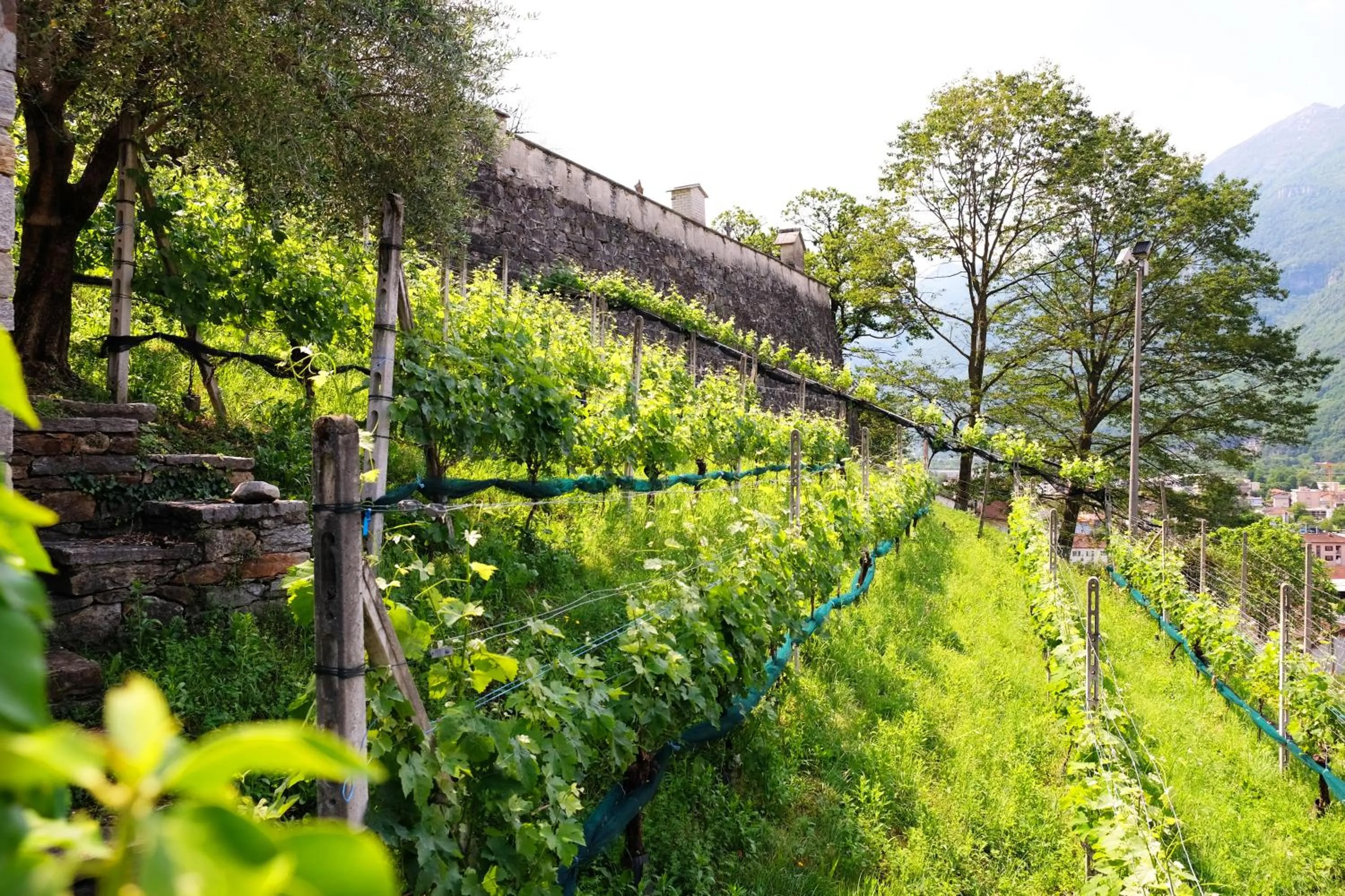 Natural landscape in Al Giardinetto