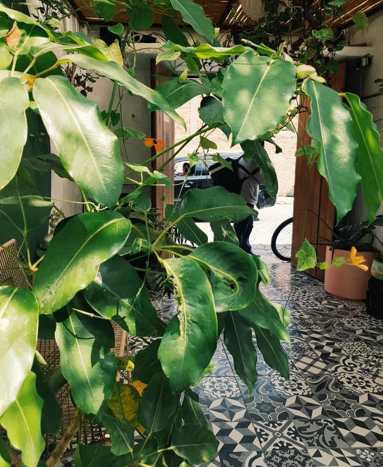 Property building in Hostal Hoja Santa