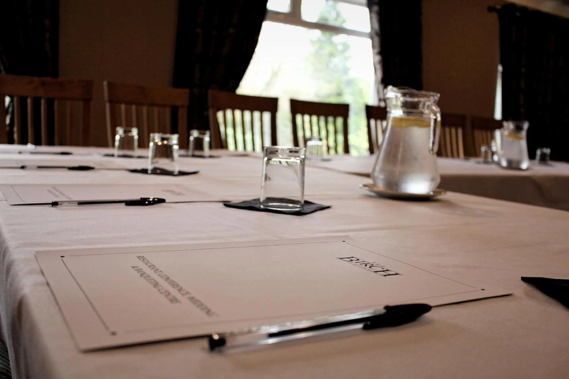 Business facilities in Birch Hotel
