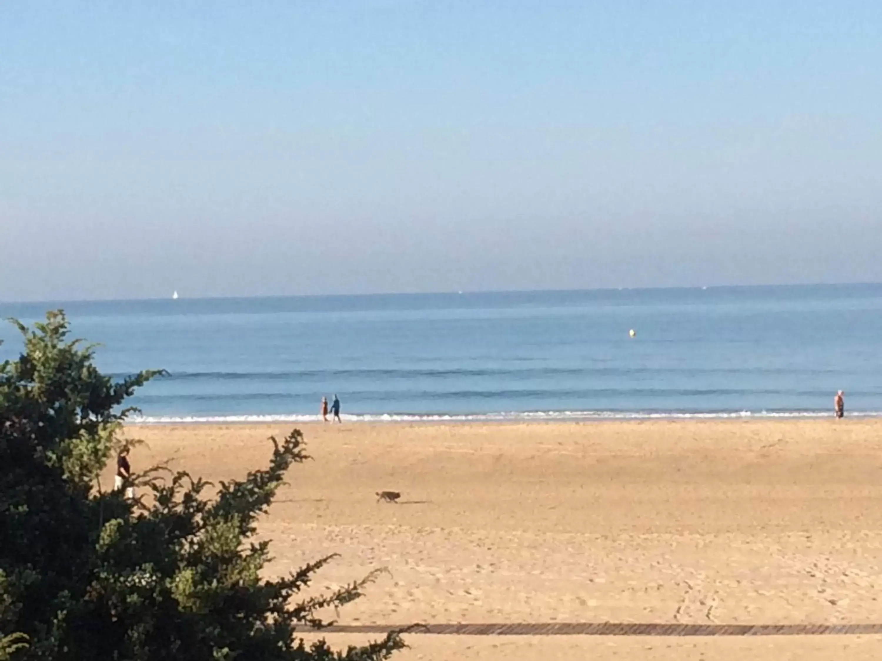 Beach in Hotel Novomar