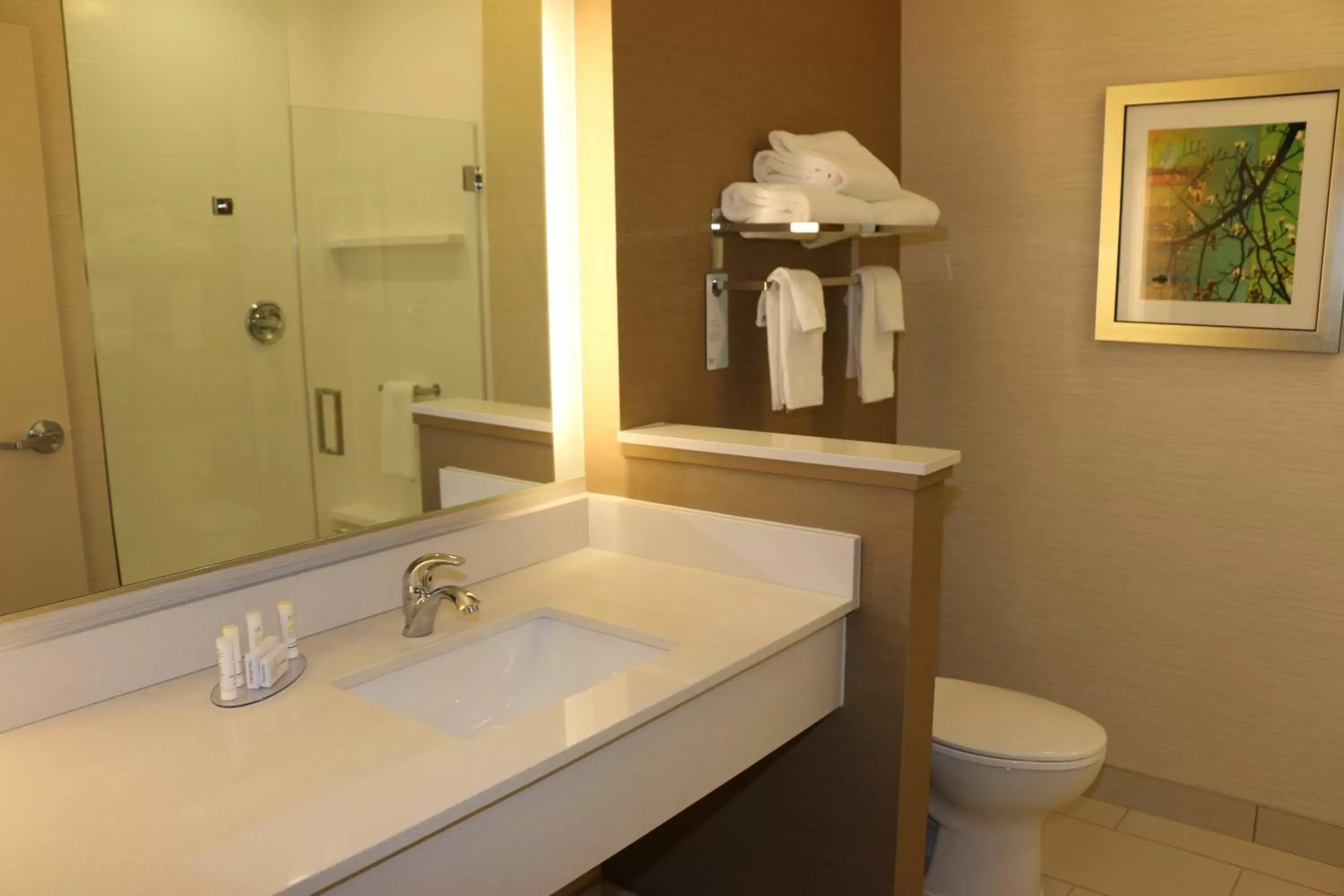 Bathroom in Fairfield Inn & Suites by Marriott Bowling Green