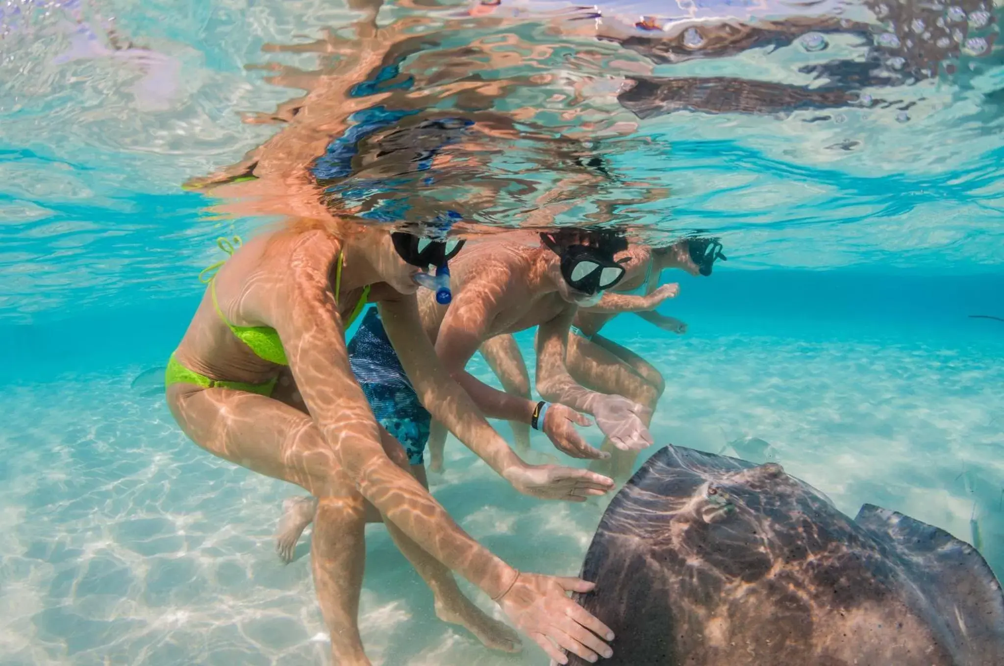 Nearby landmark, Swimming Pool in Holiday Inn Resort Grand Cayman, an IHG Hotel