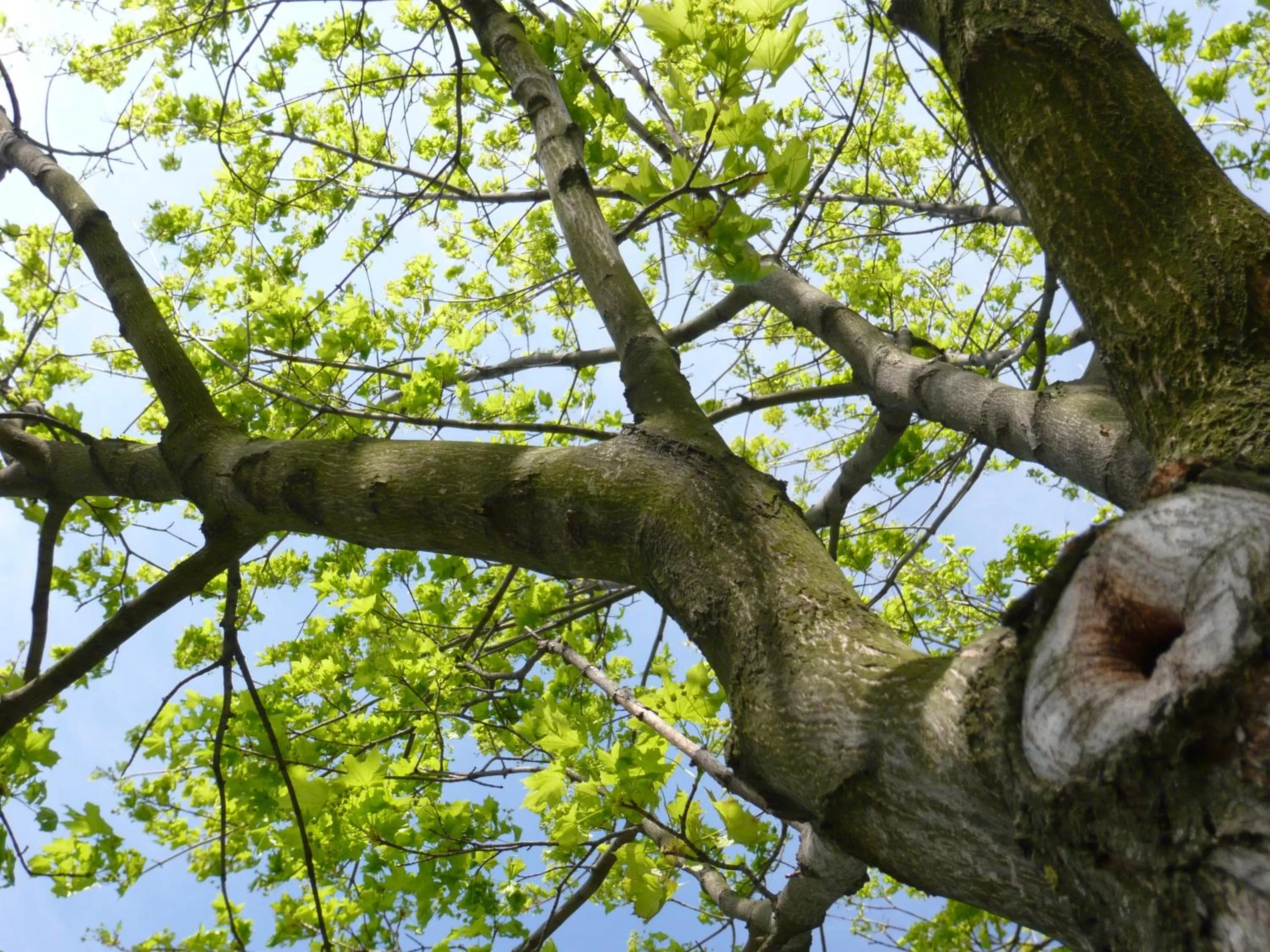 Garden in Good Rooms GmbH Guntramsdorf