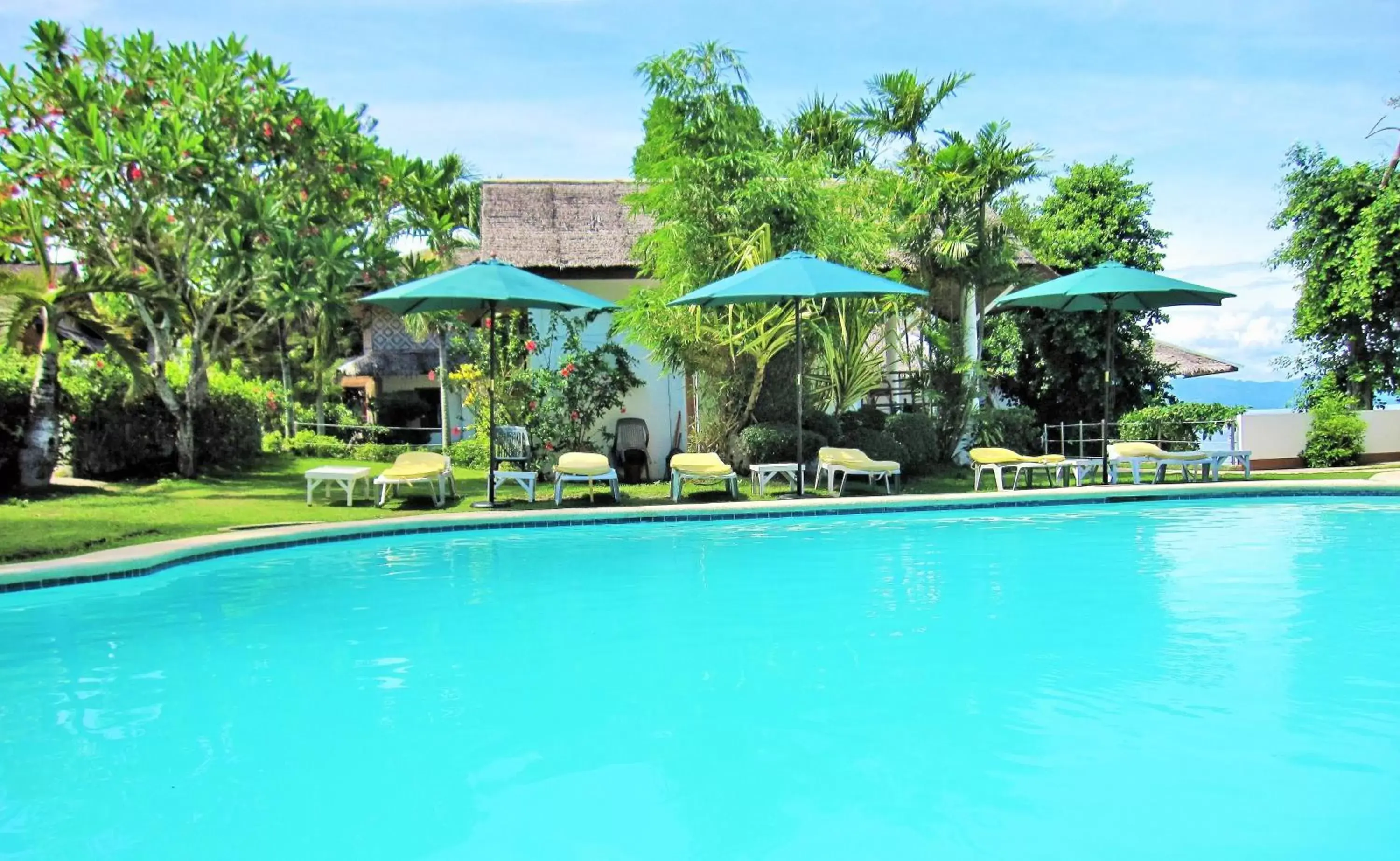 Day, Swimming Pool in Quo Vadis Dive Resort