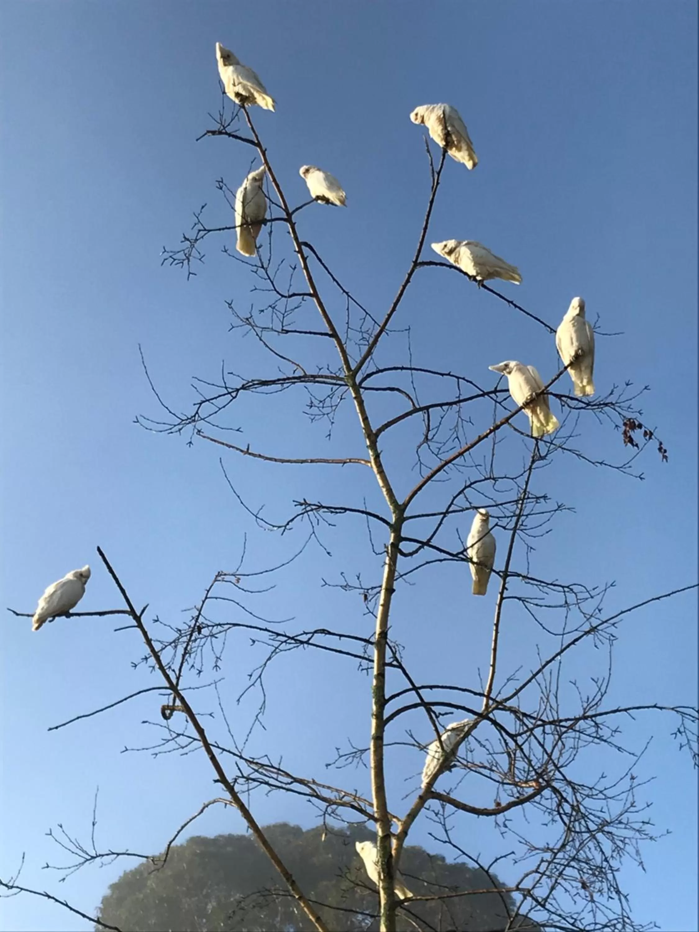 Rosewood Park Guest Suite