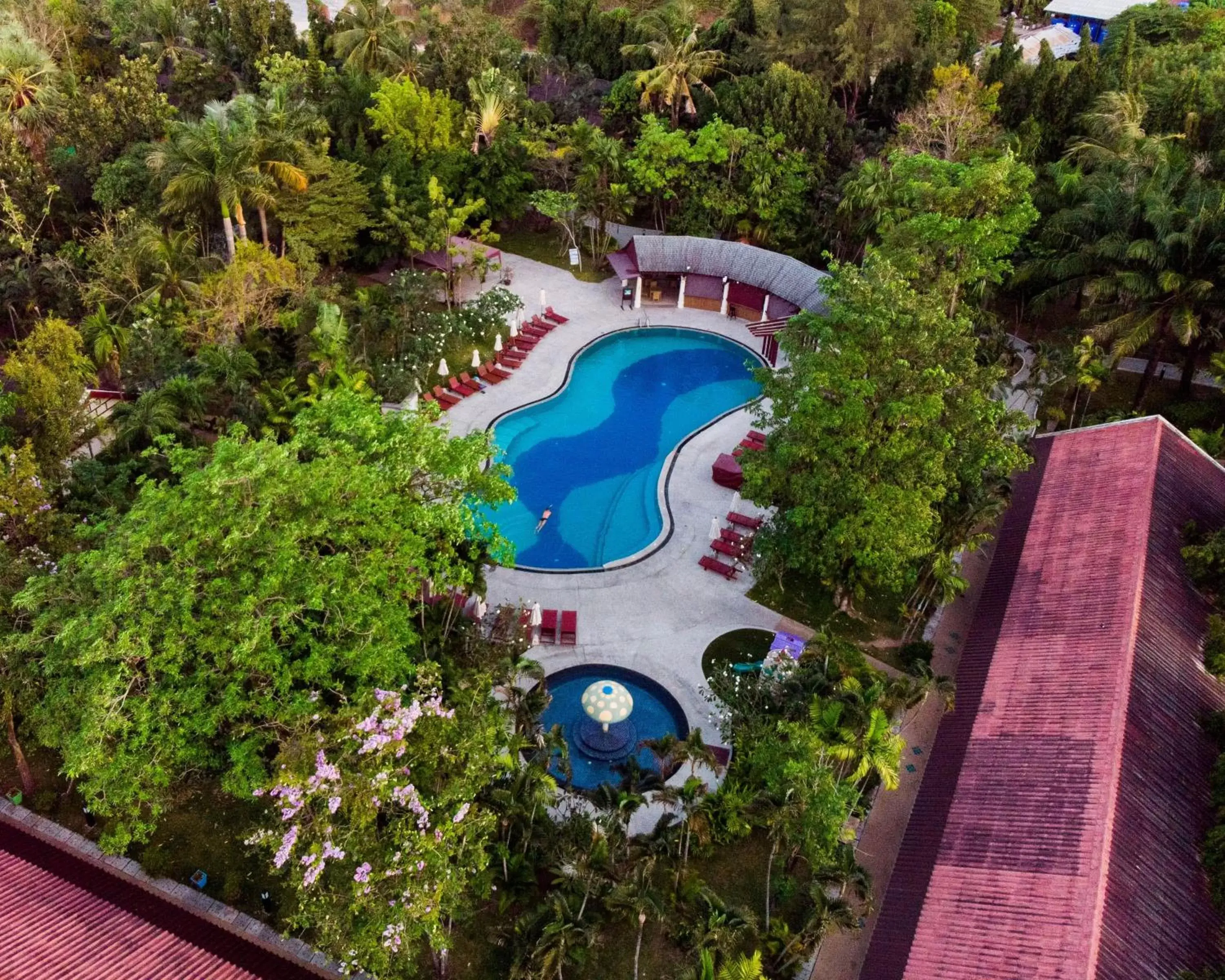 Bird's eye view, Pool View in Deevana Patong Resort & Spa - SHA Extra Plus