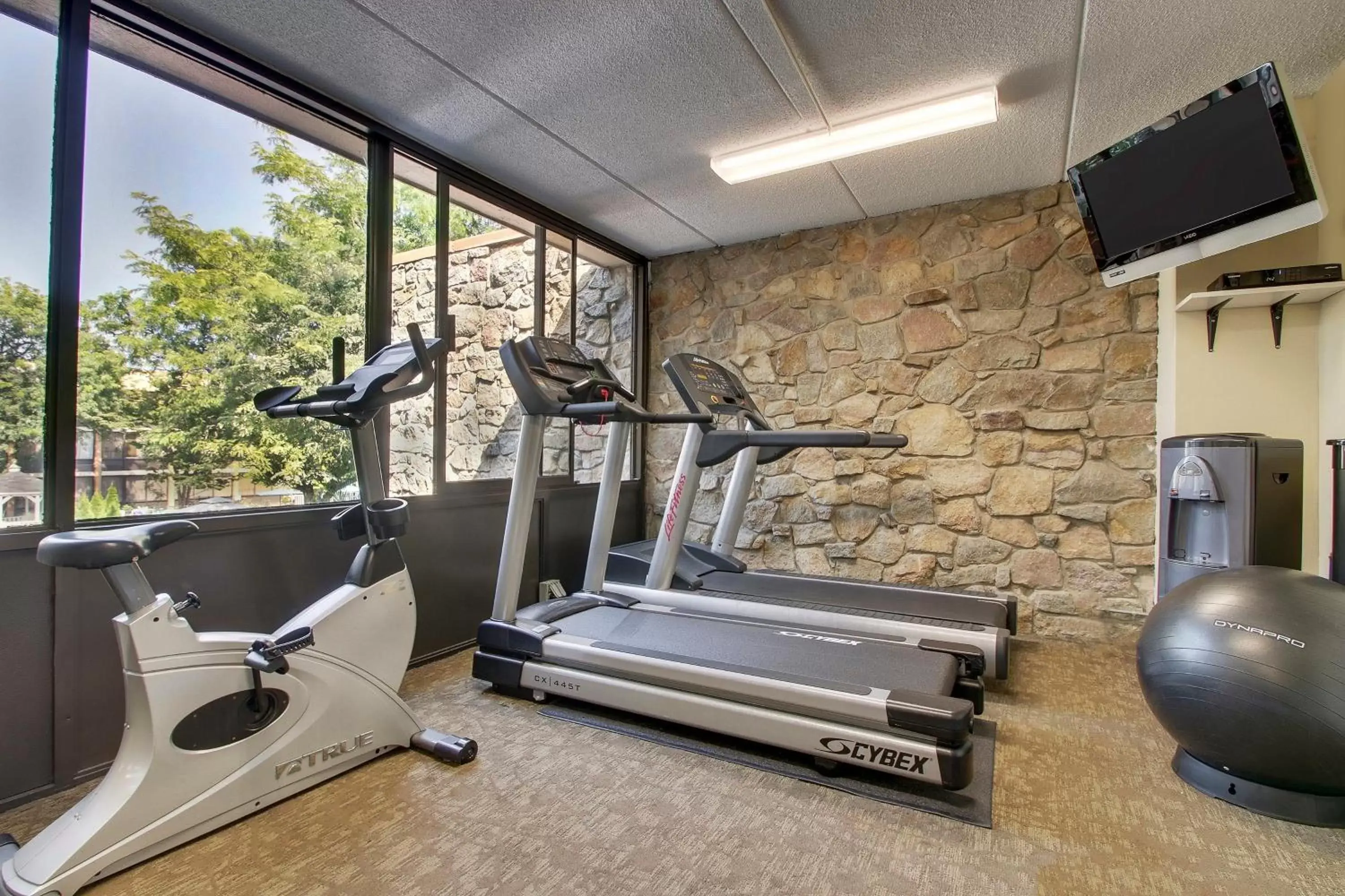 Fitness centre/facilities, Fitness Center/Facilities in Holiday Inn Westbury-Long Island, an IHG Hotel