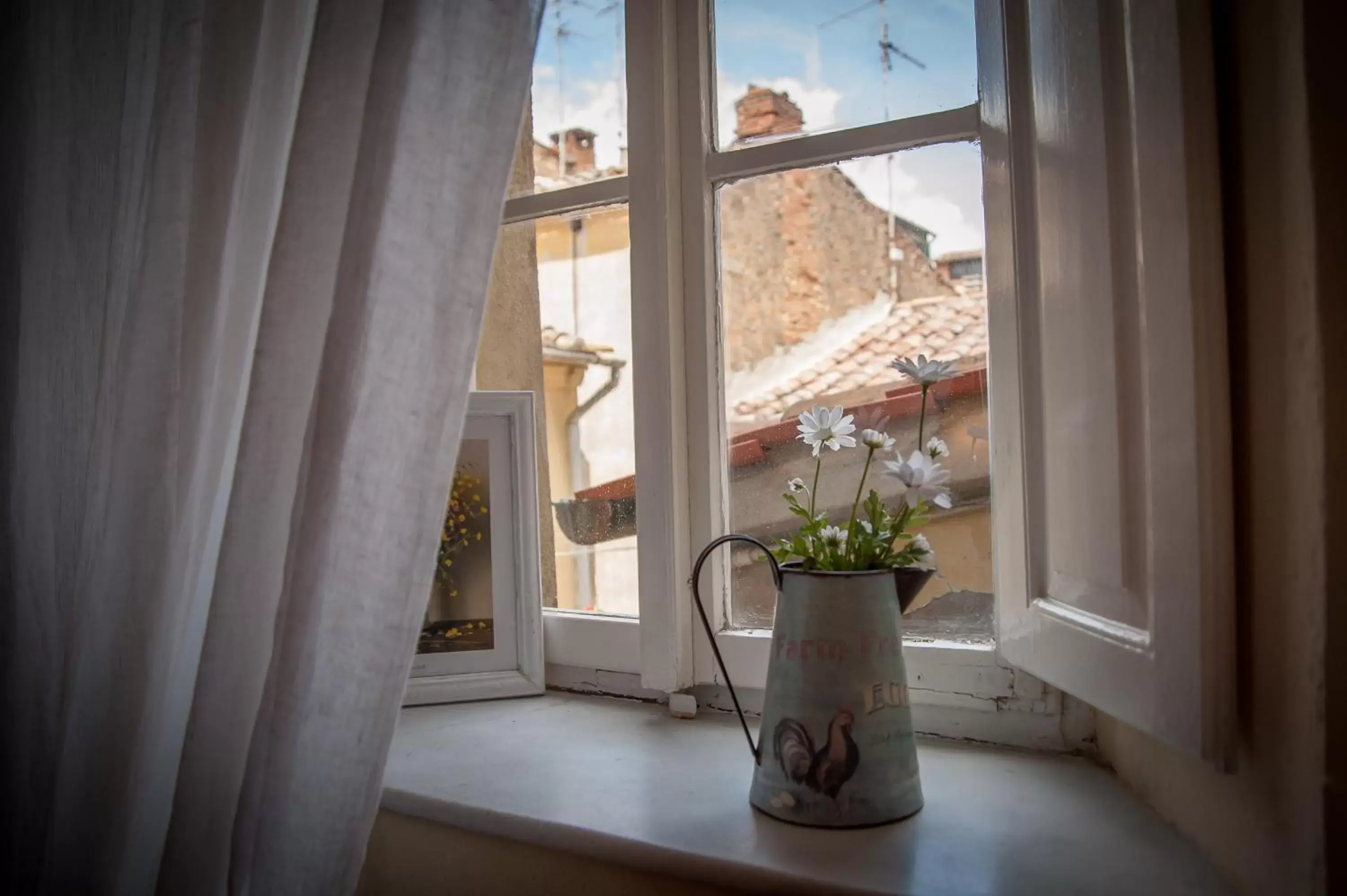 View (from property/room), Nearby Landmark in Albergo Etruria