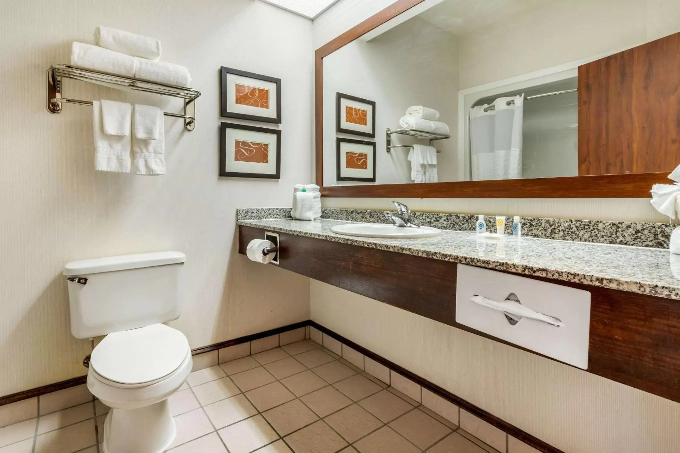 Photo of the whole room, Bathroom in Comfort Inn Summerville - Charleston
