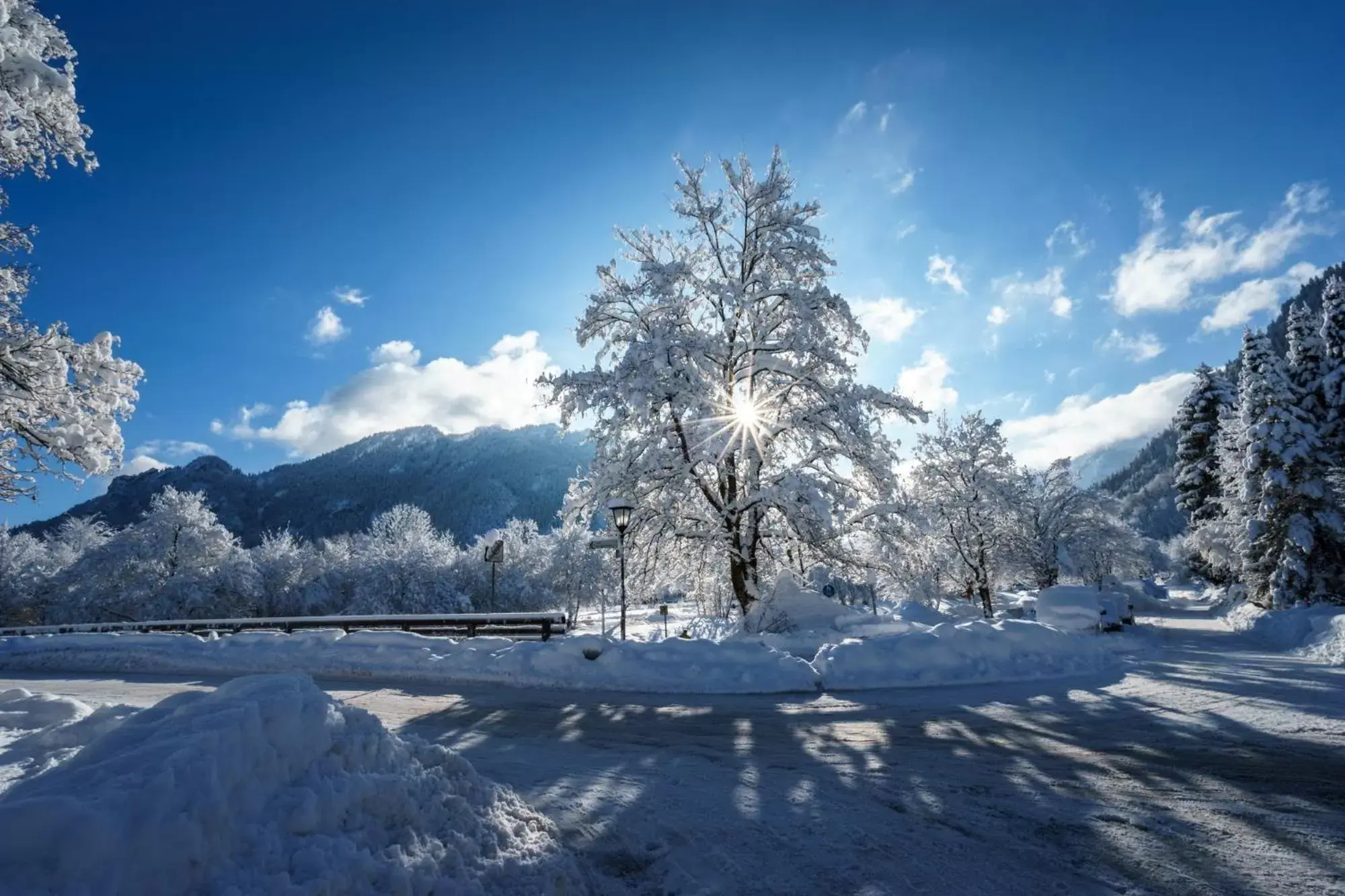 Neighbourhood, Winter in Parkhotel Sonnenhof