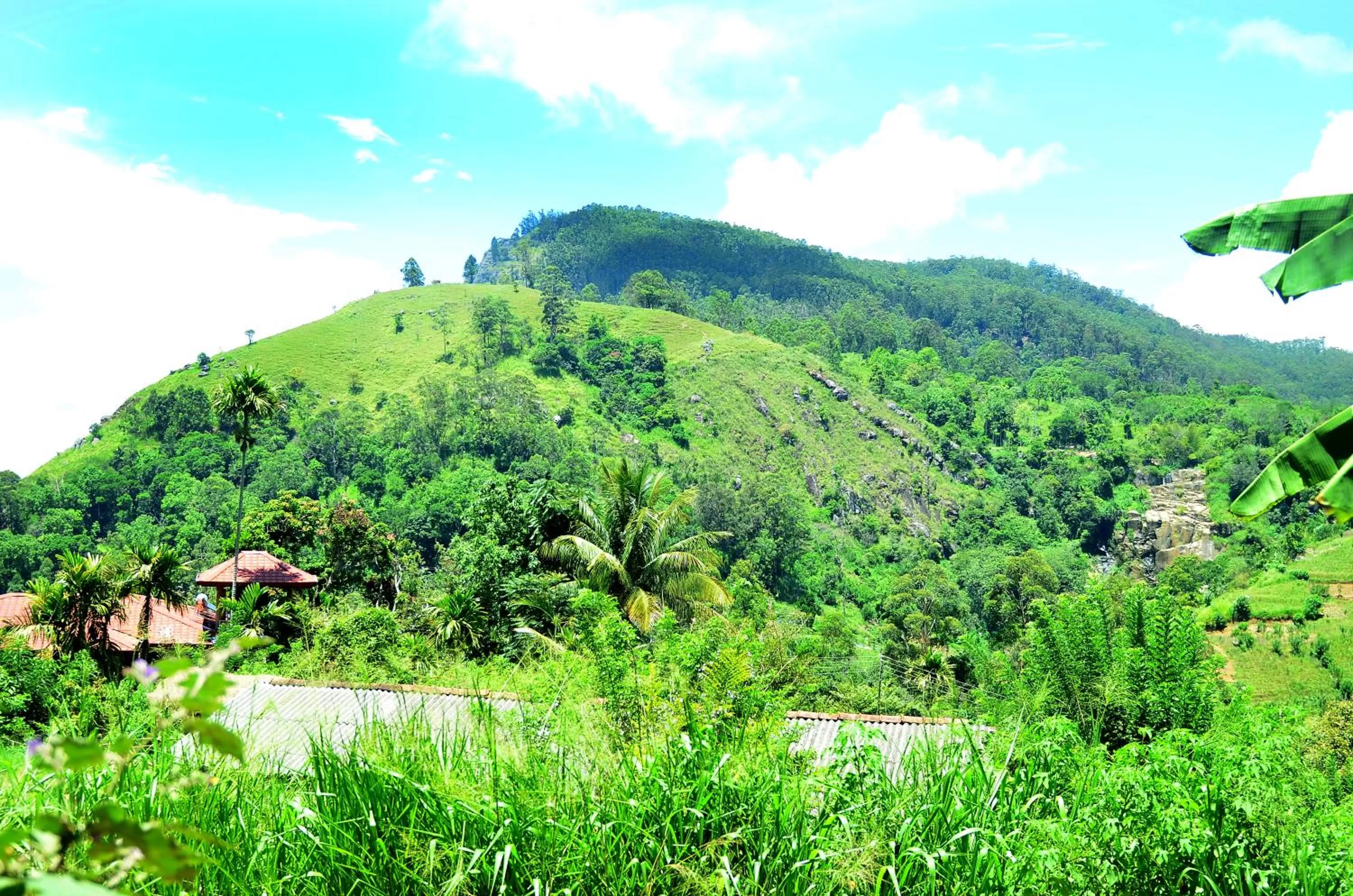 Mountain view in Dimuthu Home Stay