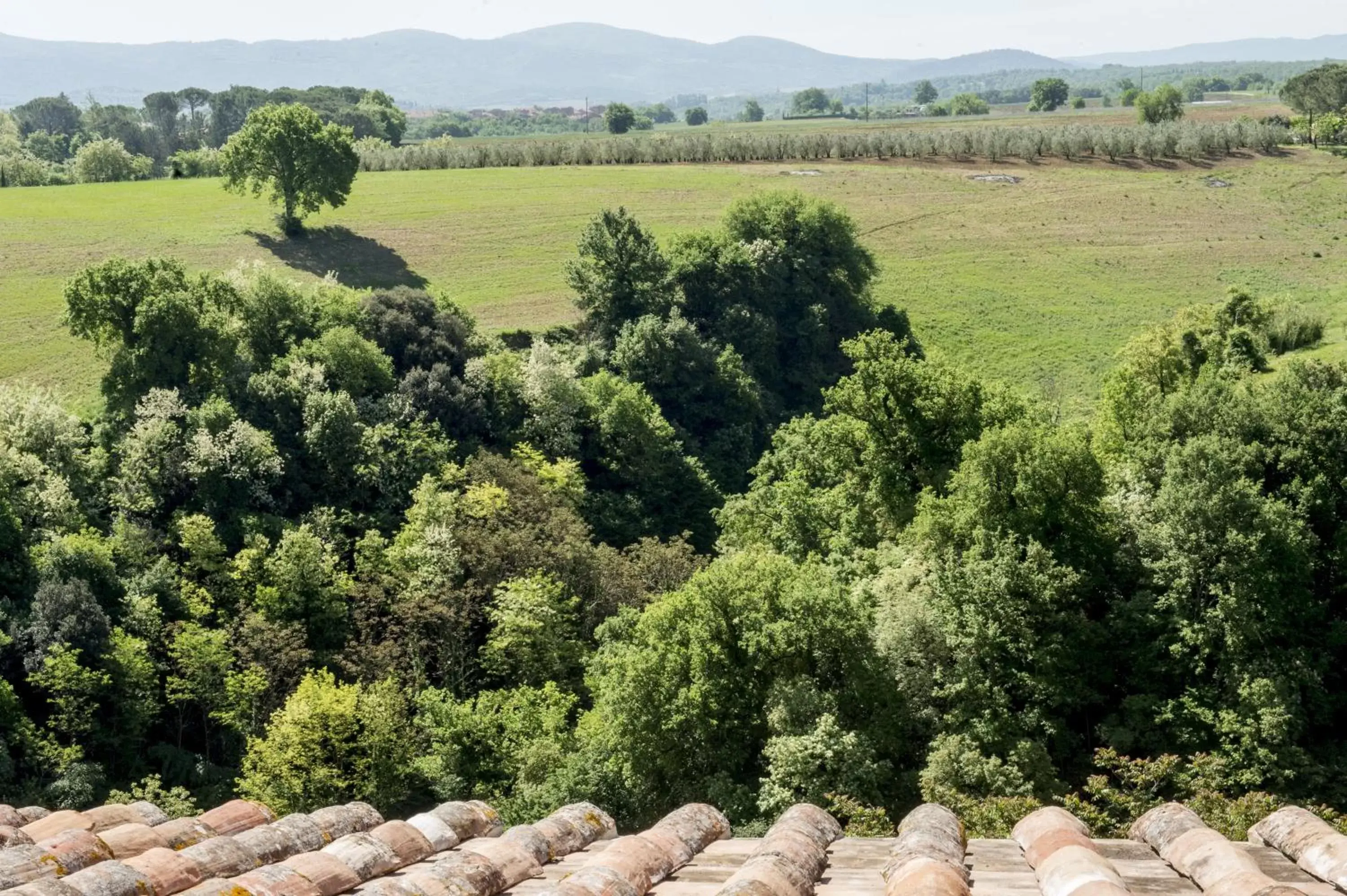 View (from property/room) in Palazzo Pacini