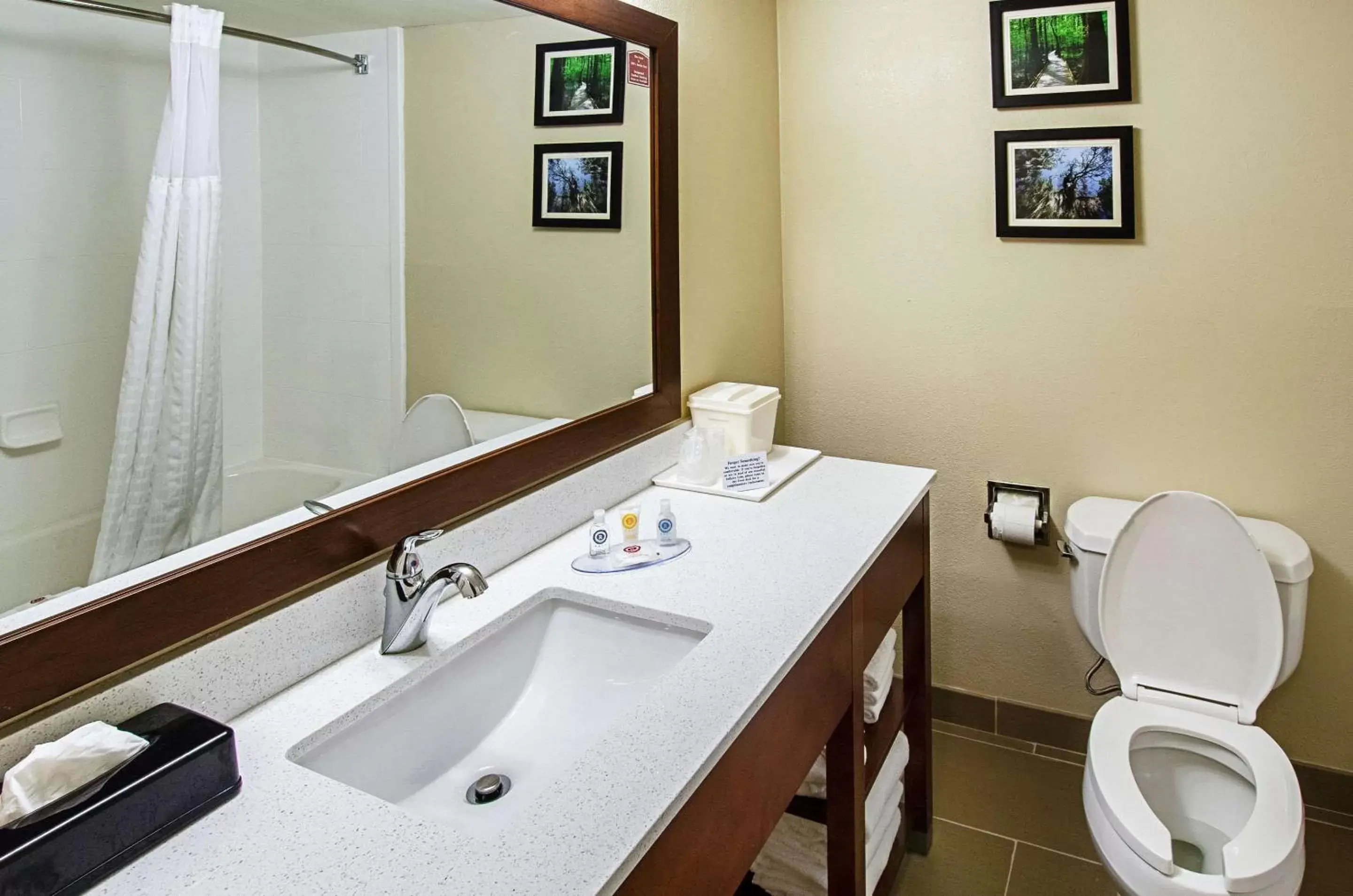 Photo of the whole room, Bathroom in Comfort Inn & Suites Santee