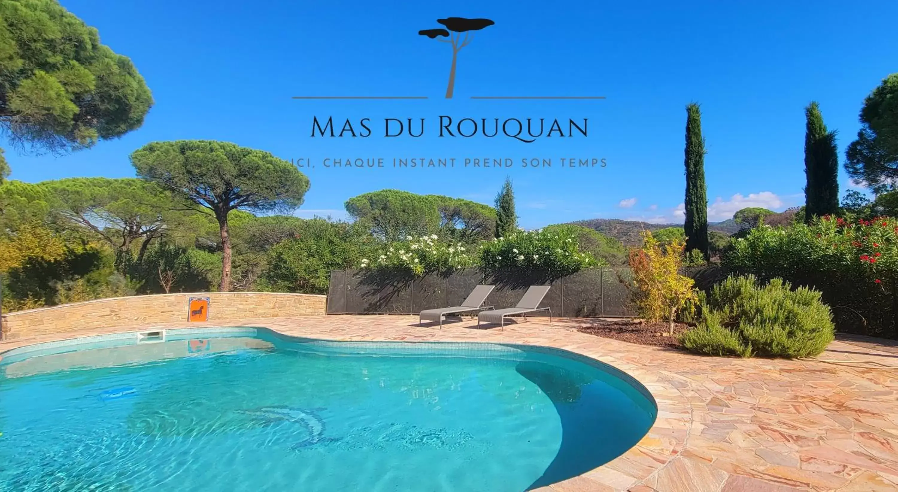 Pool view, Swimming Pool in Le Mas du Rouquan