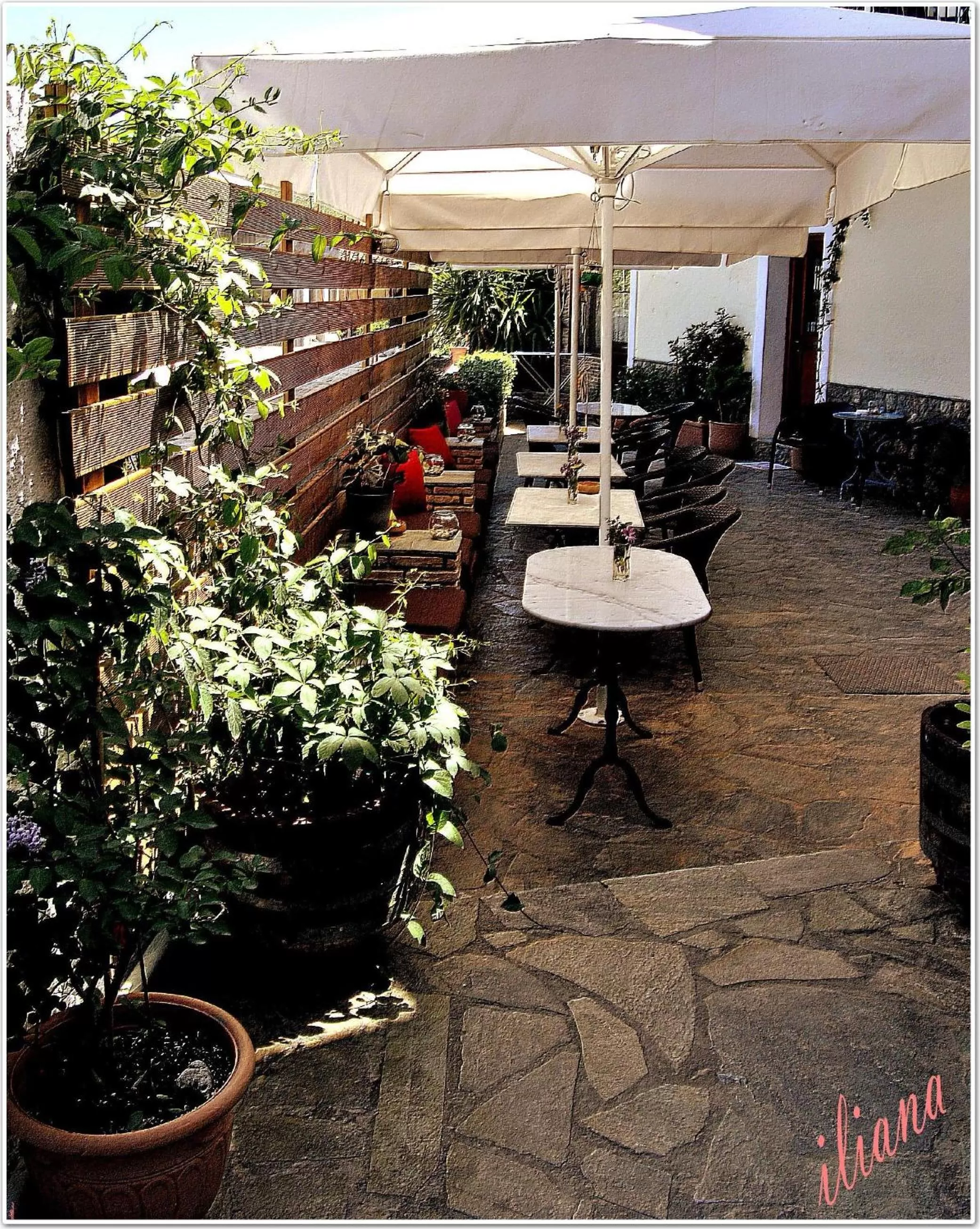 Balcony/Terrace in Filoxenia Studios