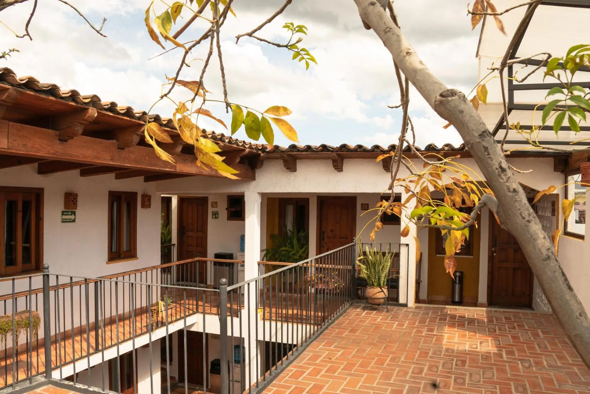 Balcony/Terrace in Hotel Casa Margarita
