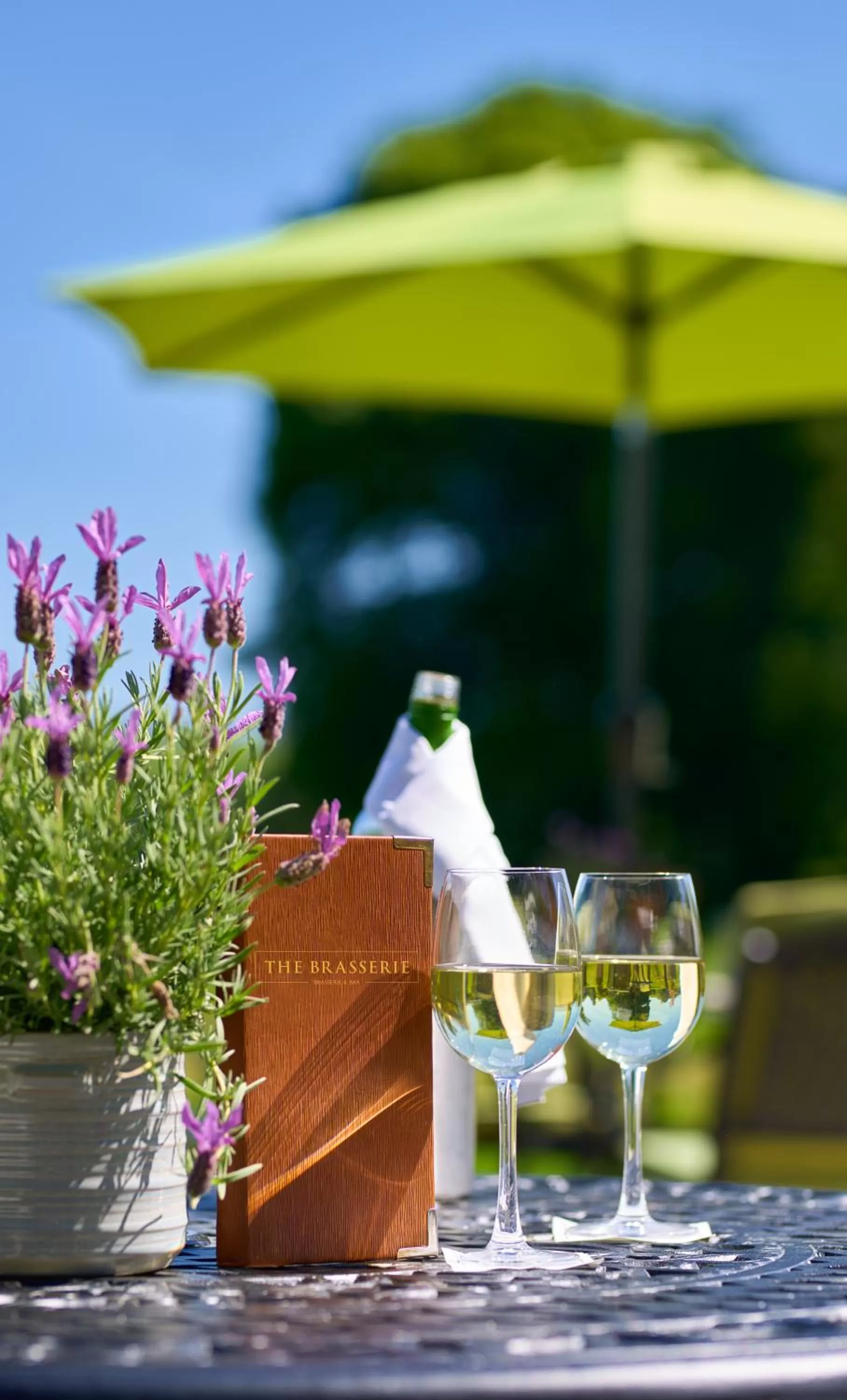 Garden view in Tulfarris Hotel and Golf Resort