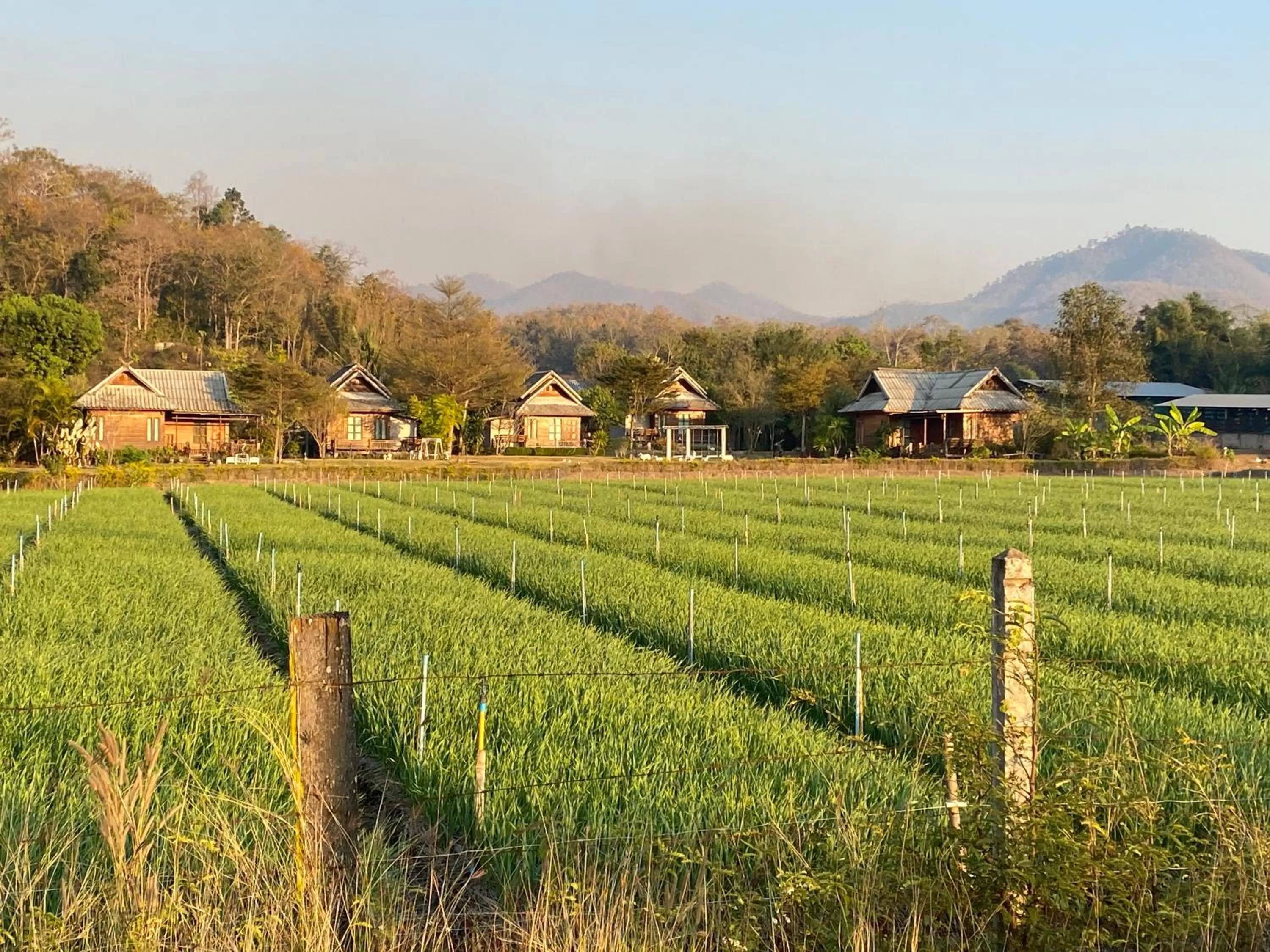 Neighbourhood in Pura Vida Pai Resort