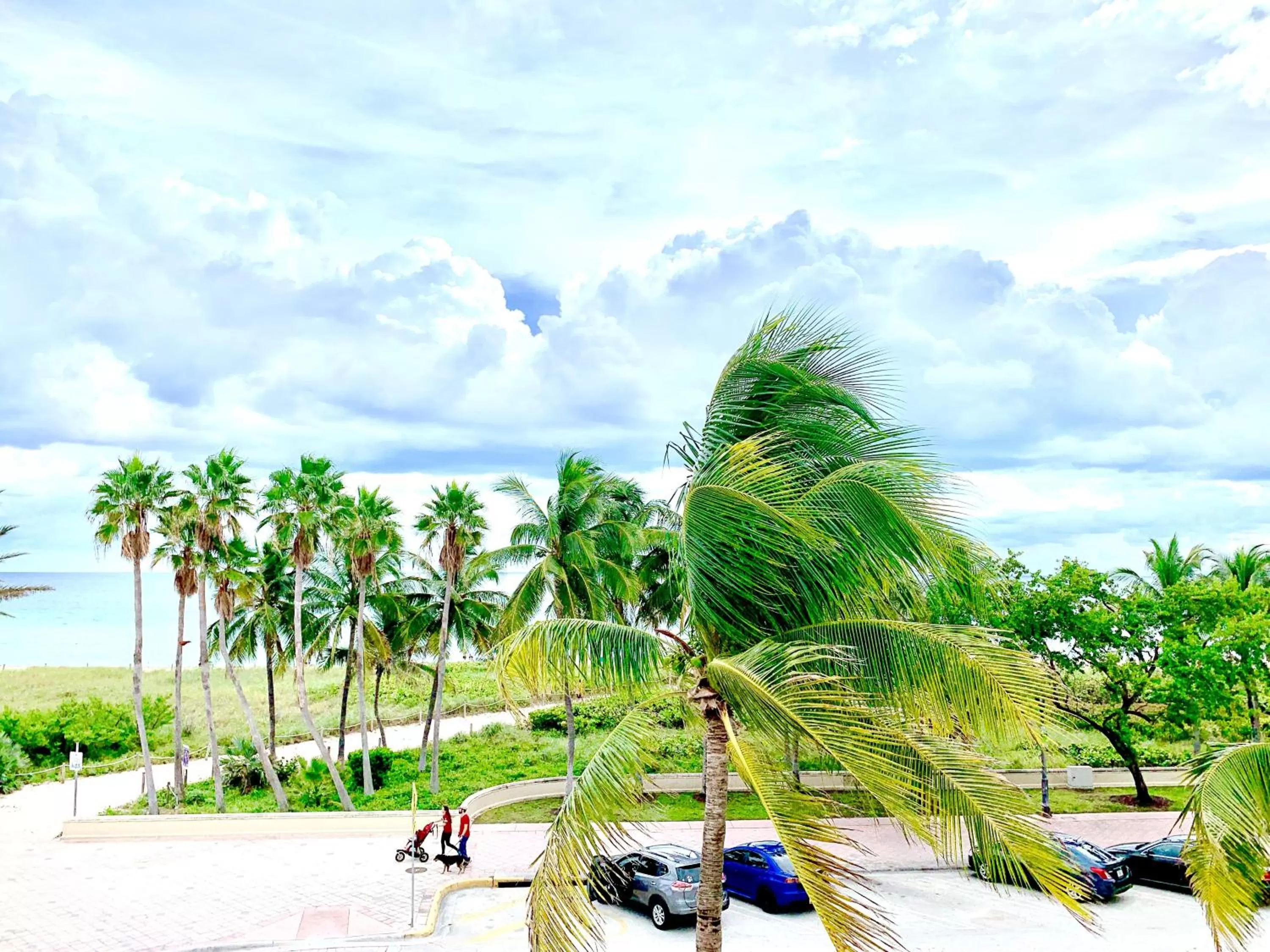 Beach in Broadmore Miami Beach