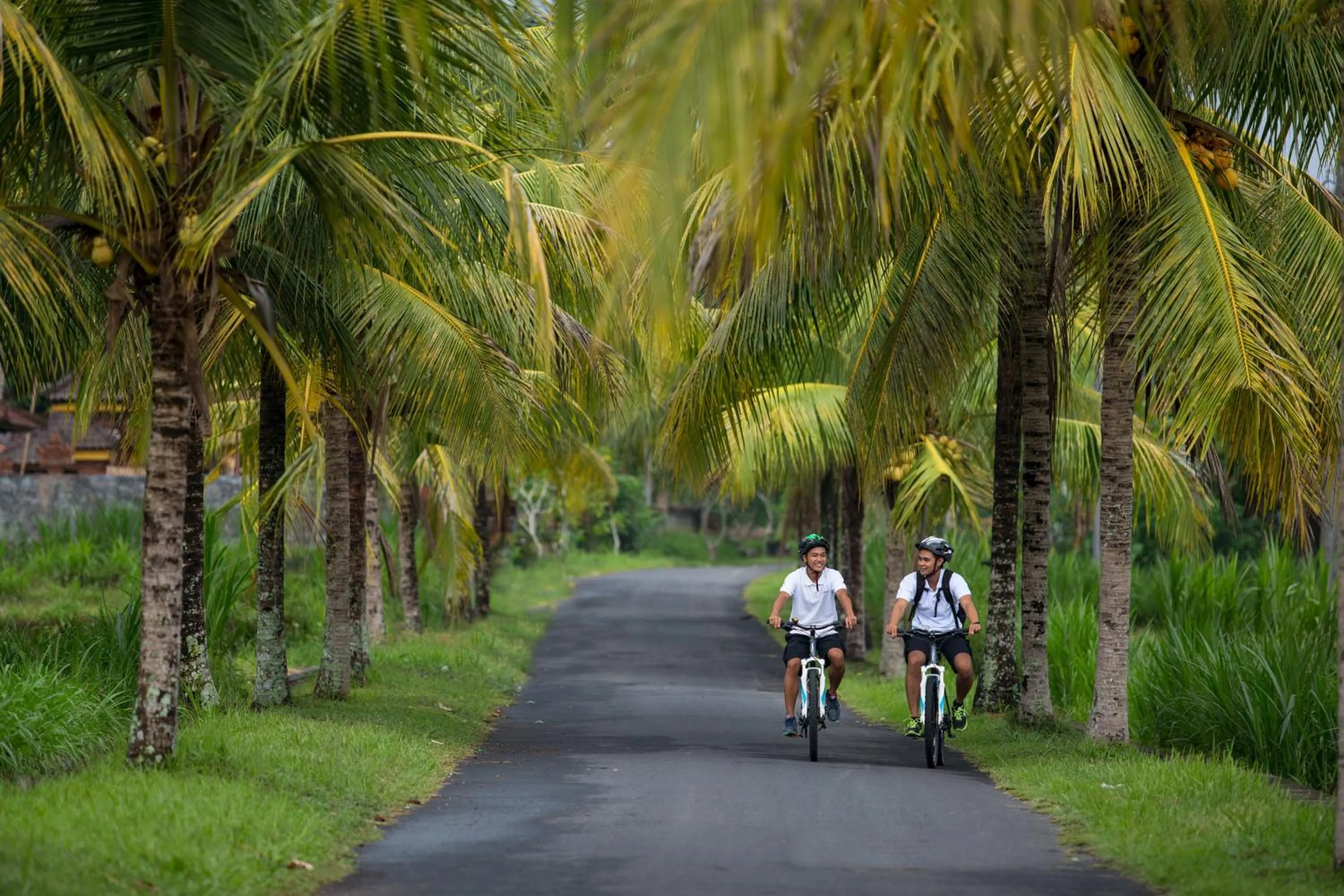 Nearby landmark in The Samaya Ubud