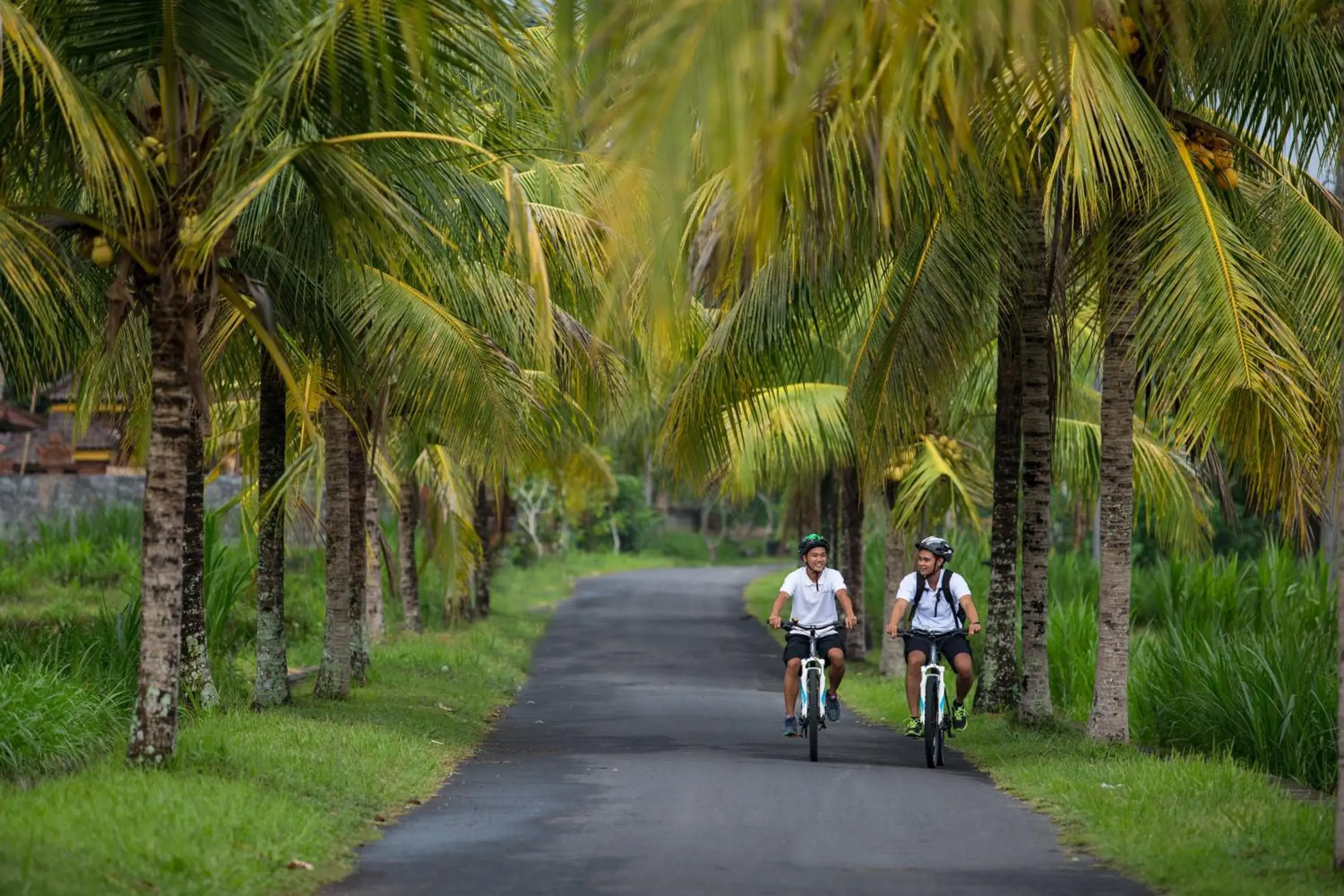 Nearby landmark, Biking in The Samaya Ubud Villas