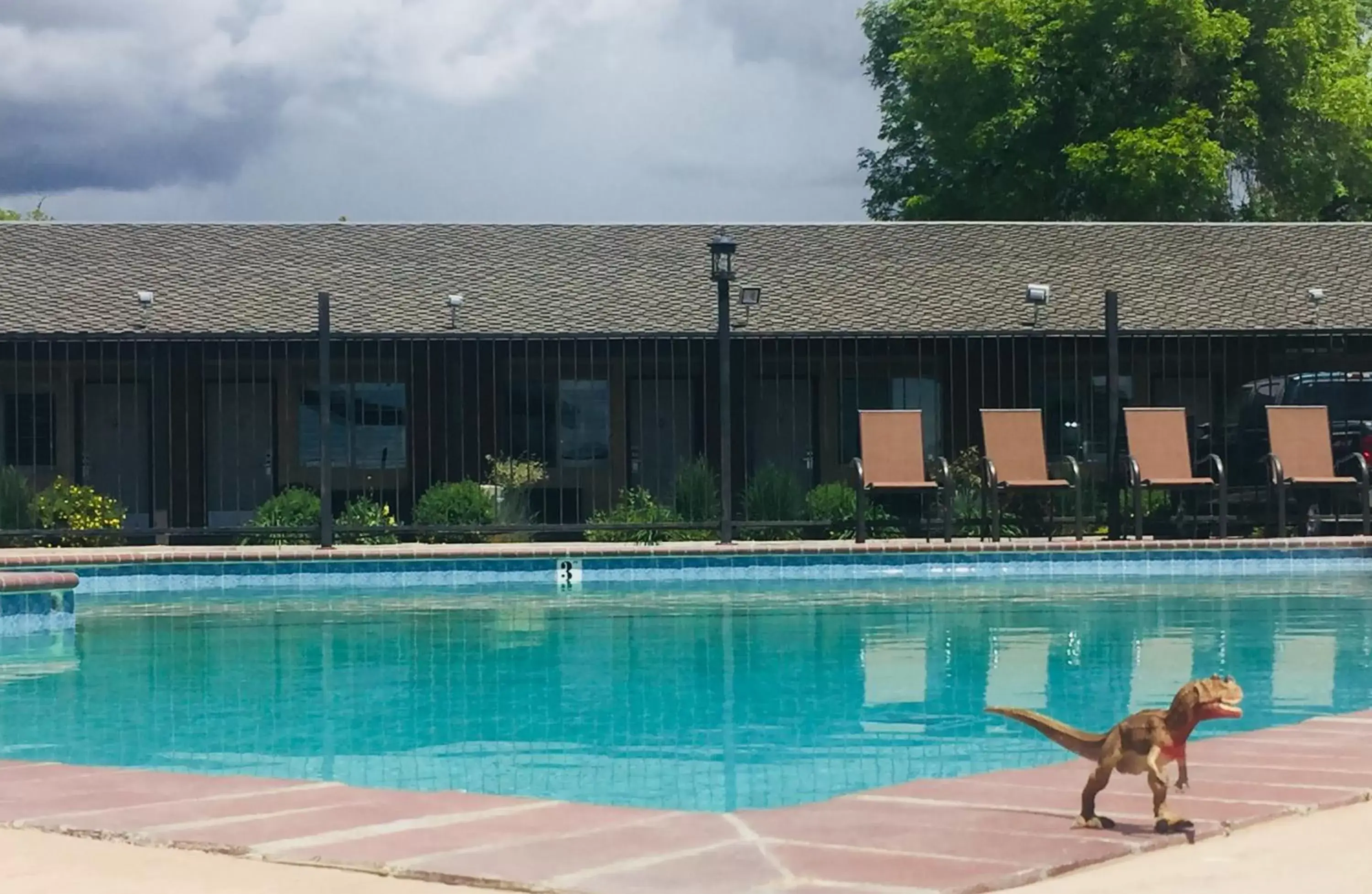 Swimming Pool in Dinosaur Inn & Suites