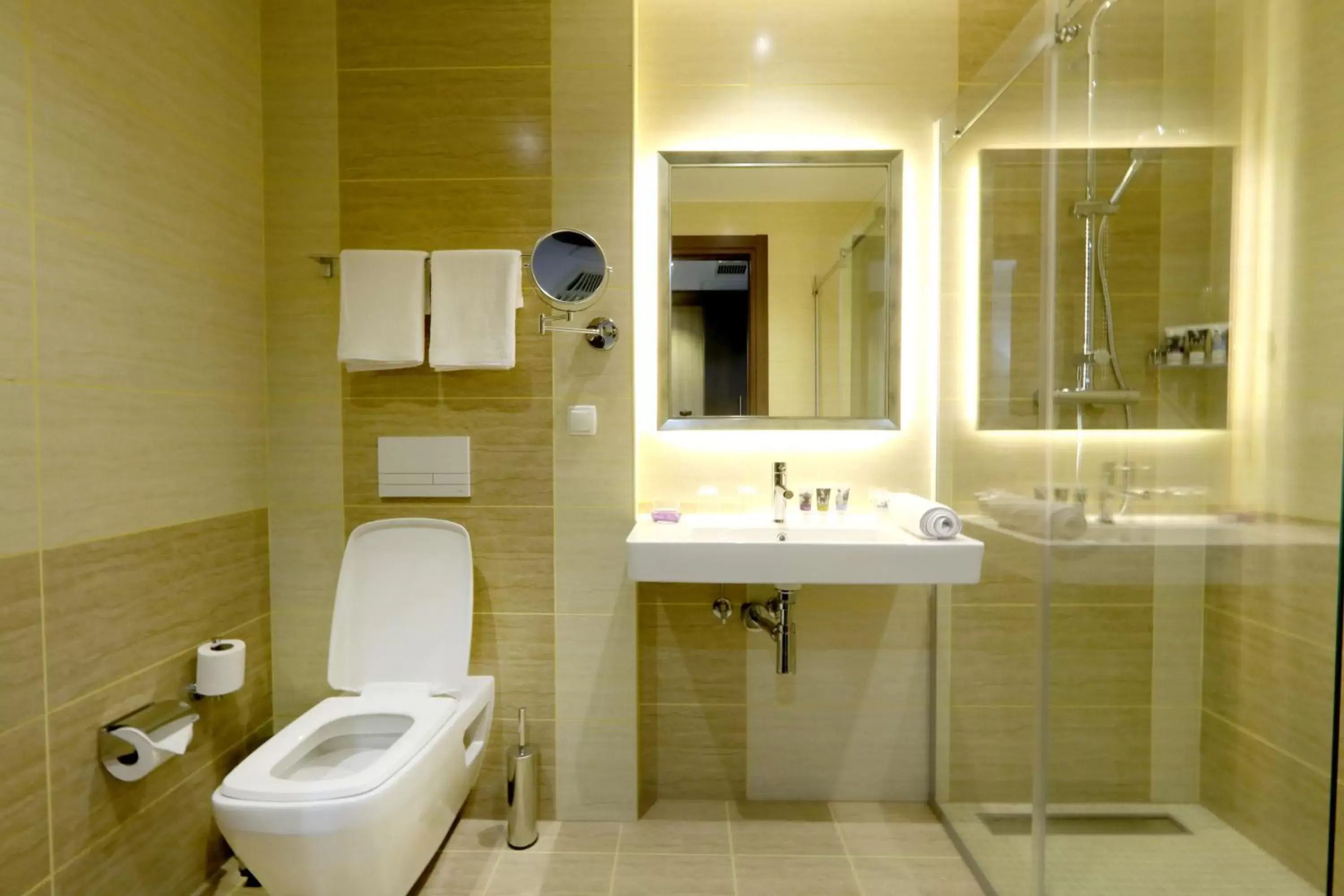 Bathroom in Mercure Tetovo