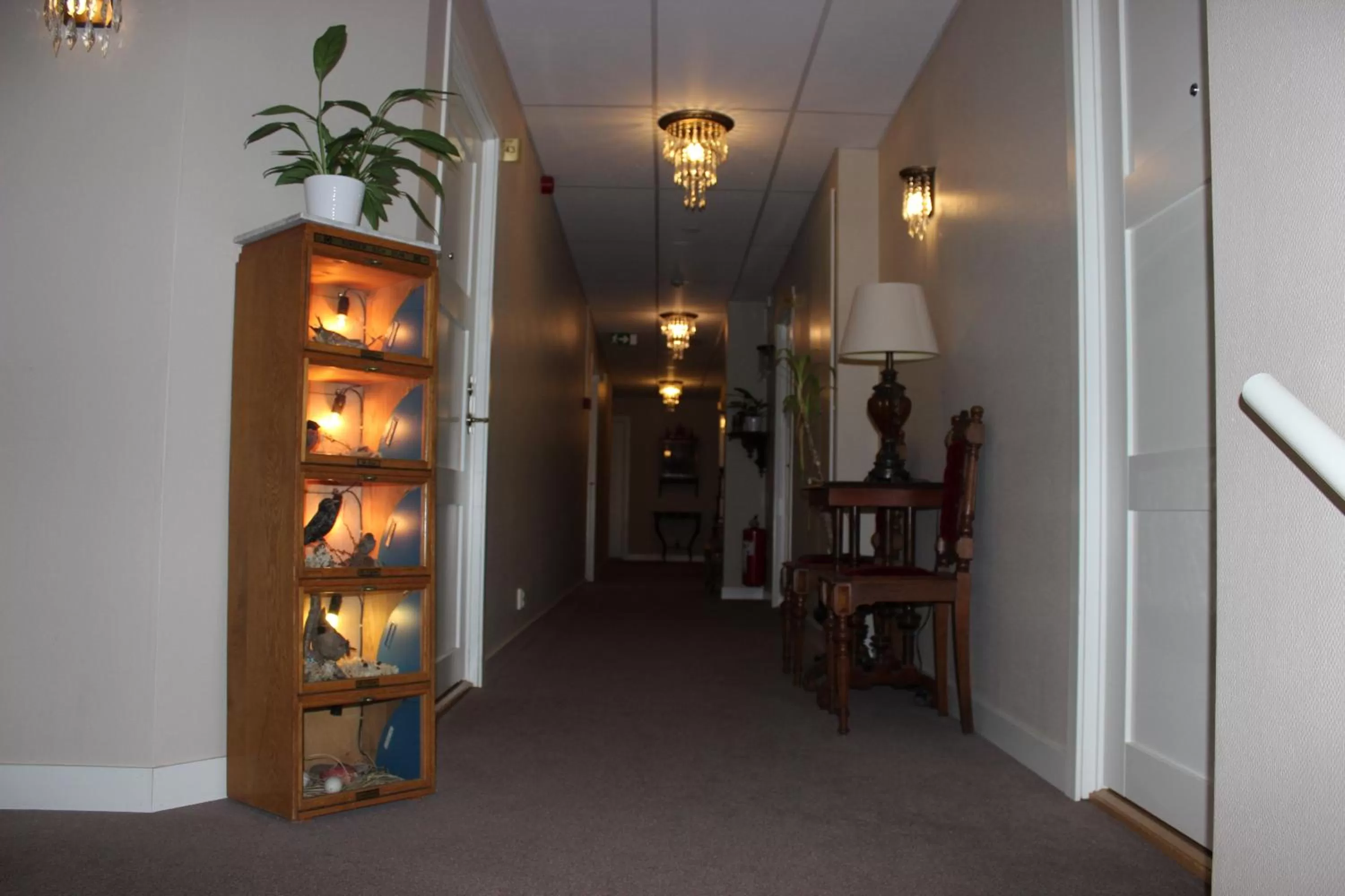 Area and facilities in Hotell Läckö