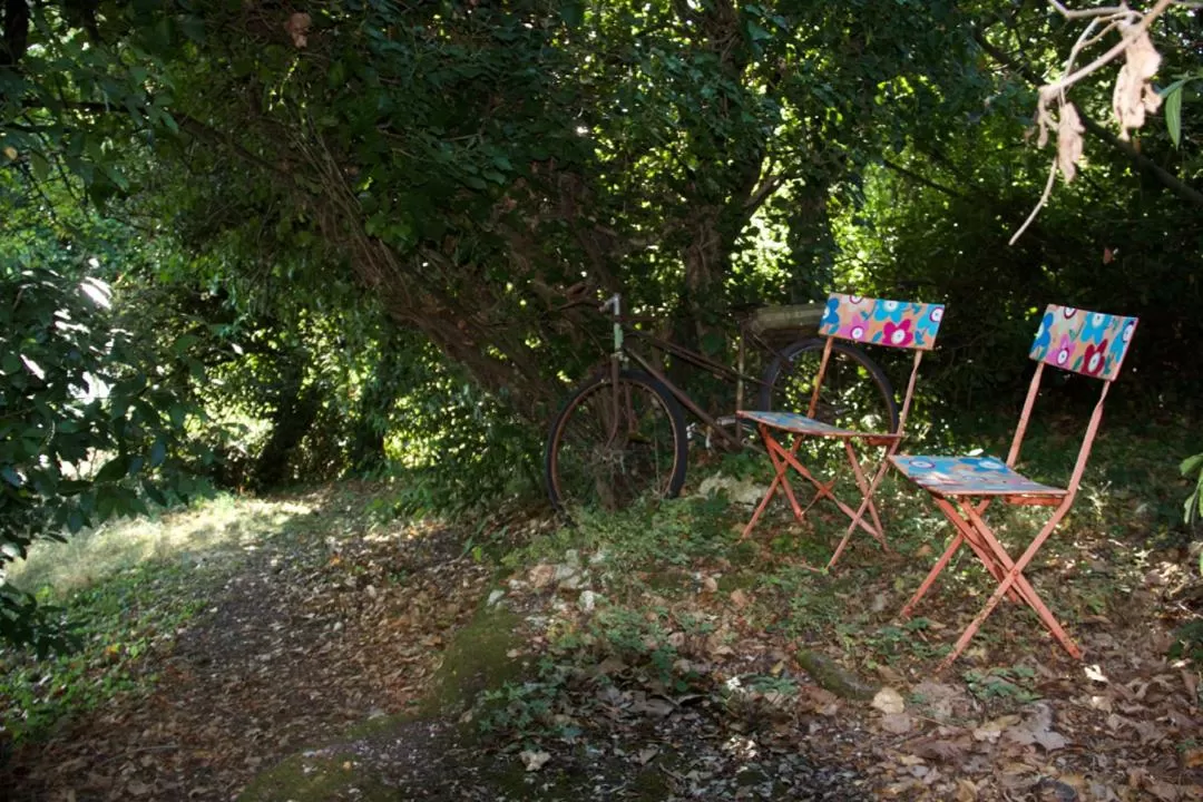 Garden in La Charentine
